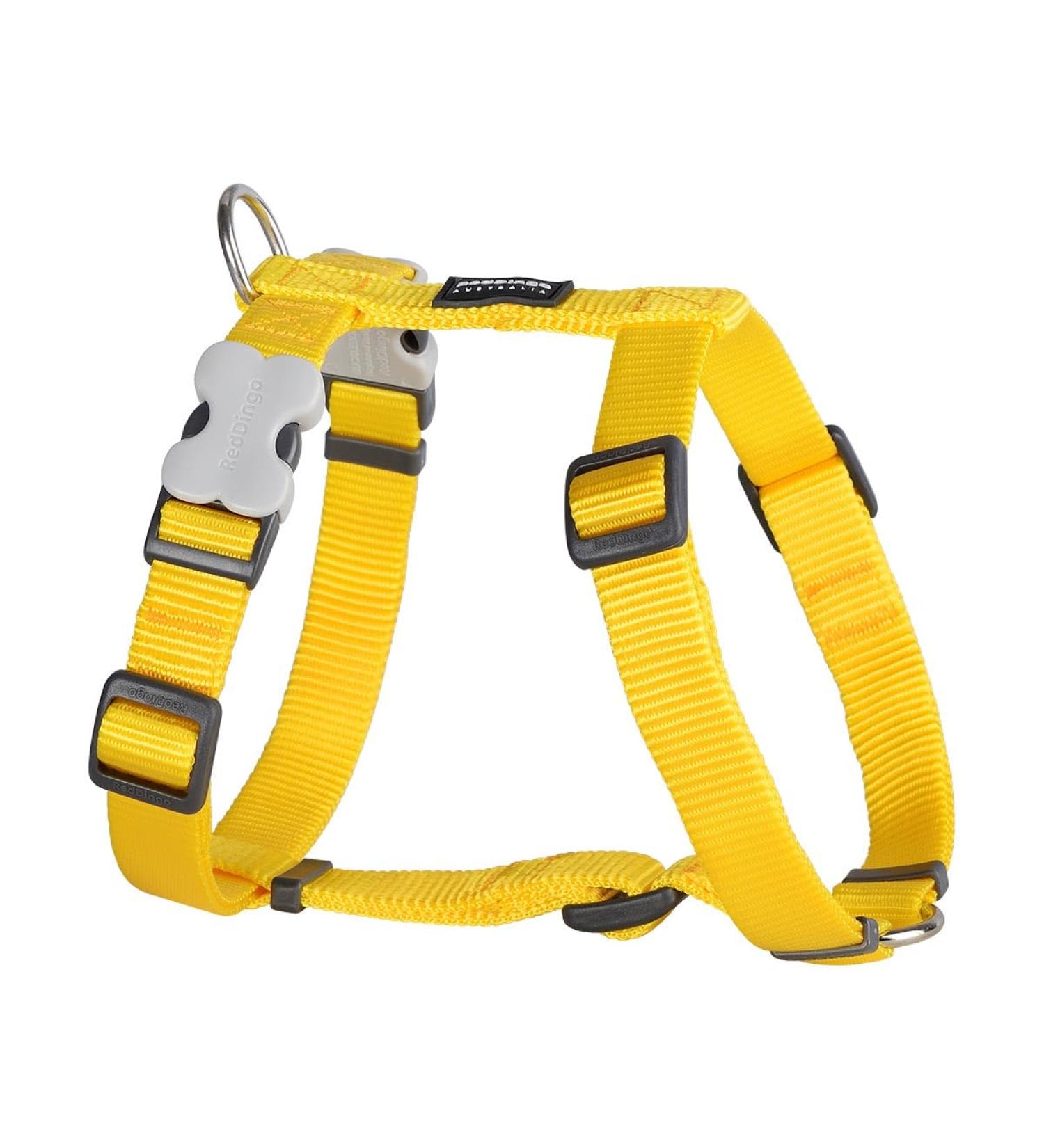 Red Dingo Petral Liso yellow one size