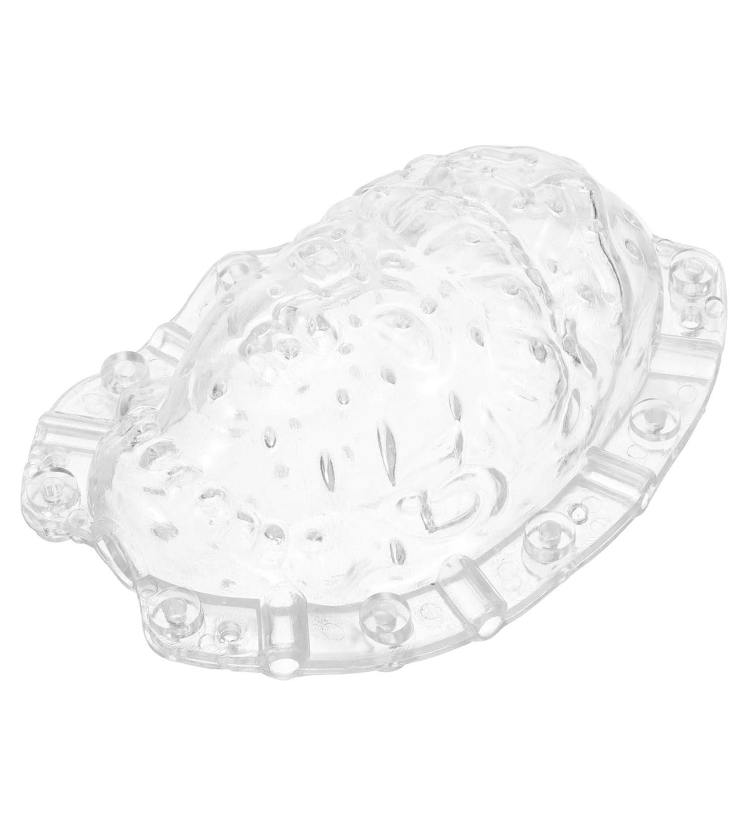 IWOWHERO Fruits Forming Mould Vegetable Growing Mold Ginseng Fruit Melon Shaping Mold Novel Shaping Mold Multipurpose Gourd Head - Buy Online on SooperMarket.com