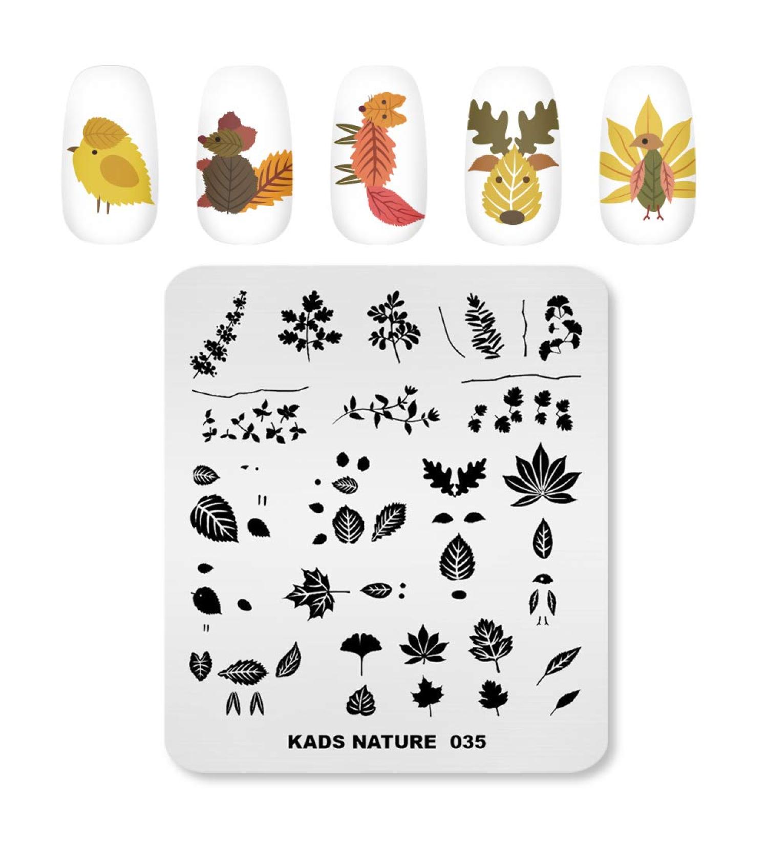 Alexnailart Nail Art Stamping Plates Image Template Nature Plant Leaf Pattern Design Stamper Nail Art DIY Print Manicure Nail Art Stencil Tools NA035 - Buy Online on SooperMarket.com