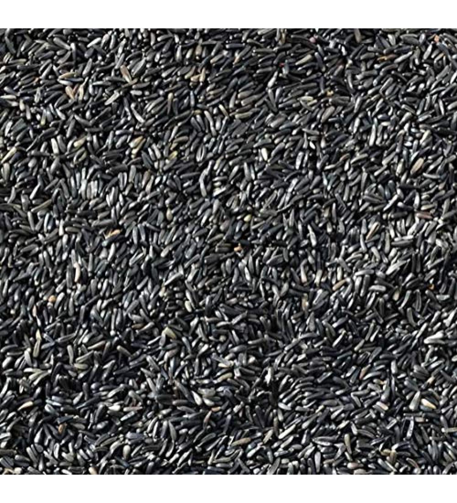 NIGER NYGER SEED 5kg High Energy High Protein Premium Quality All Year Round Wild Garden Bird Seed