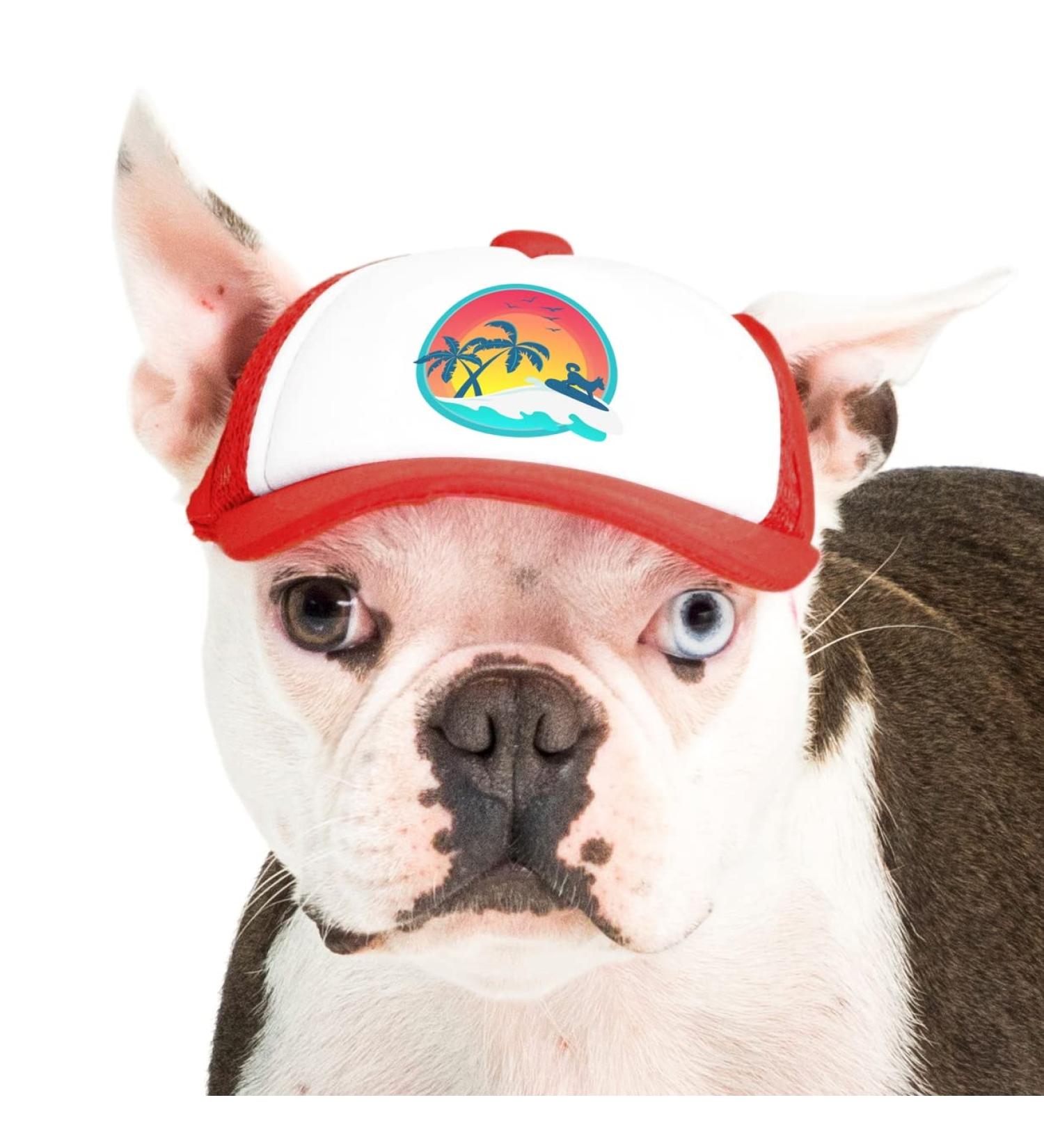PupLid XS Trucker Hat for Dogs - Stylish Sun Protection for Active Dogs - Red Surfer Dog - Buy Online on SooperMarket.com