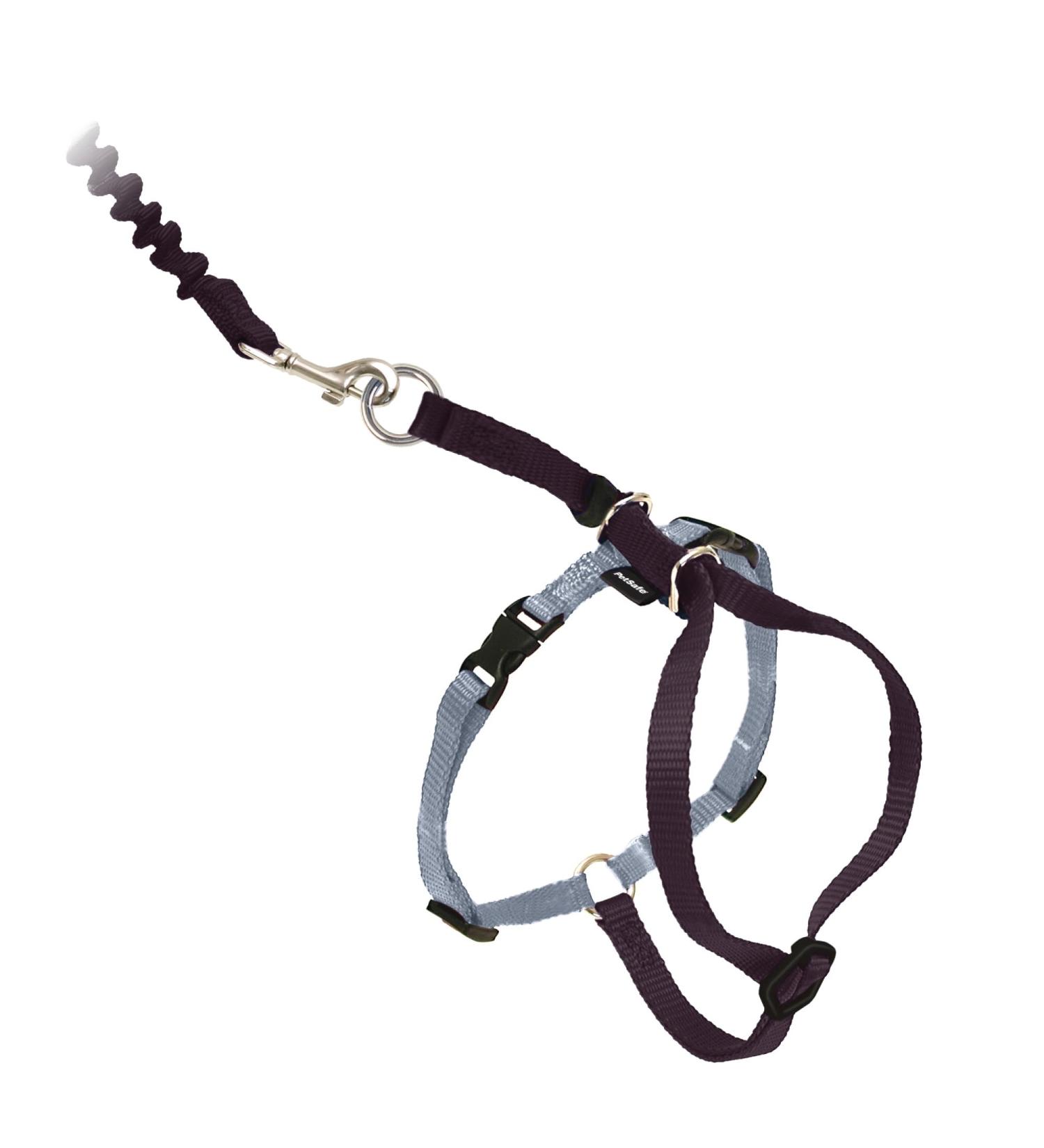 PetSafe Come with Me Kitty Harness & Bungee Leash - Adjustable Cat Harness for Large Cats | Black/Silver & Black/Beige - International Shipping Available - Buy Online on SooperMarket.com