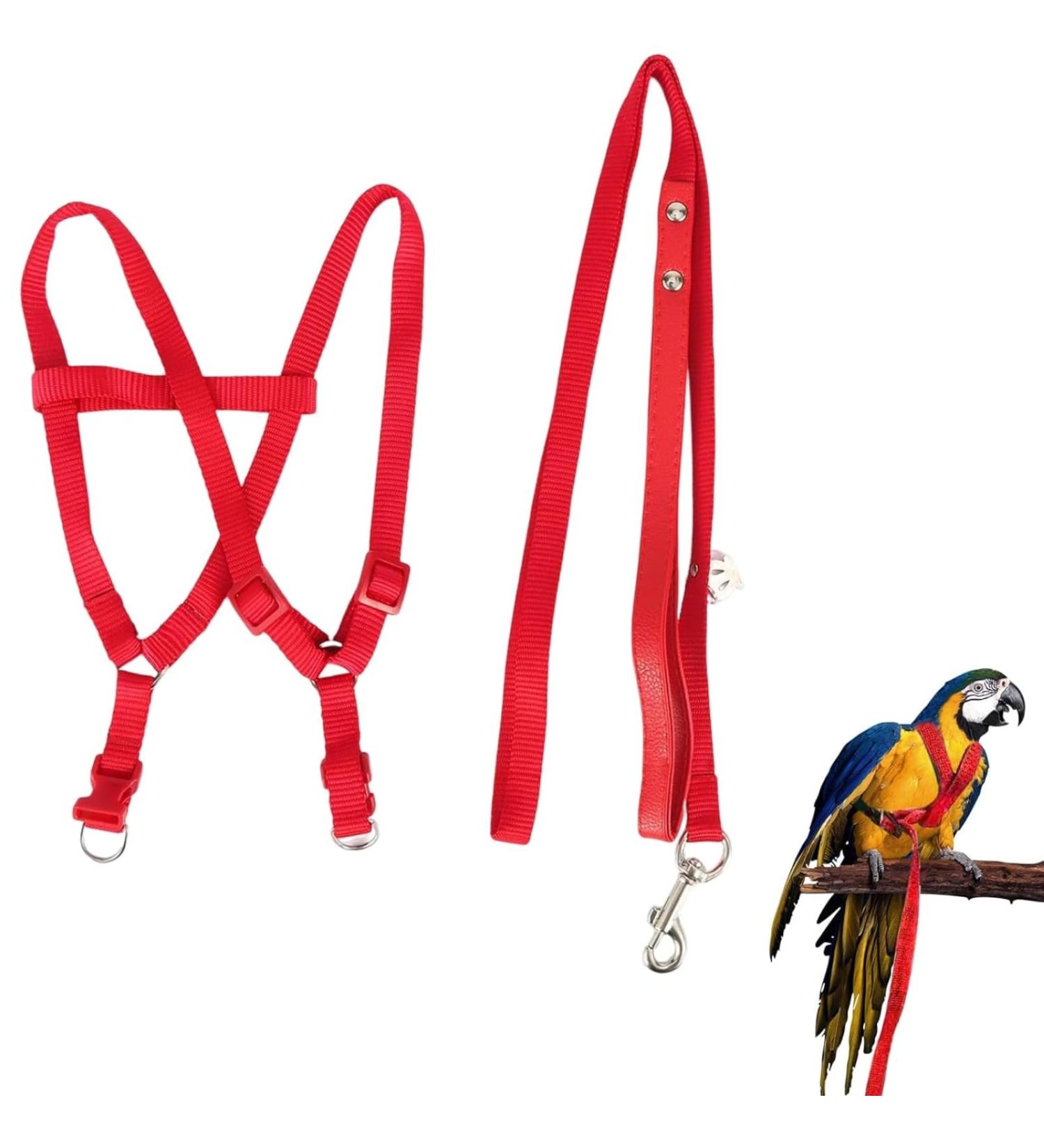 Felenny Bird Dishes & Leash - Adjustable Outdoor Accessories for Scarlet Macaw Sun Conure and Nymphensittich - Anti-Bite Protection (Large Red) - Buy Online on SooperMarket.com