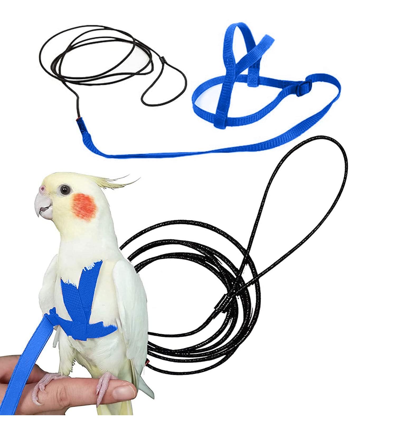 Newsmy Bird Harness Adjustable Feather Tether Parrot Harness Leash Outdoor Training Carrier for Budgerigar Lovebird Cockatiel Mynah Cockatoo Parakeet Macaw (Blue S) - Buy Online on SooperMarket.com