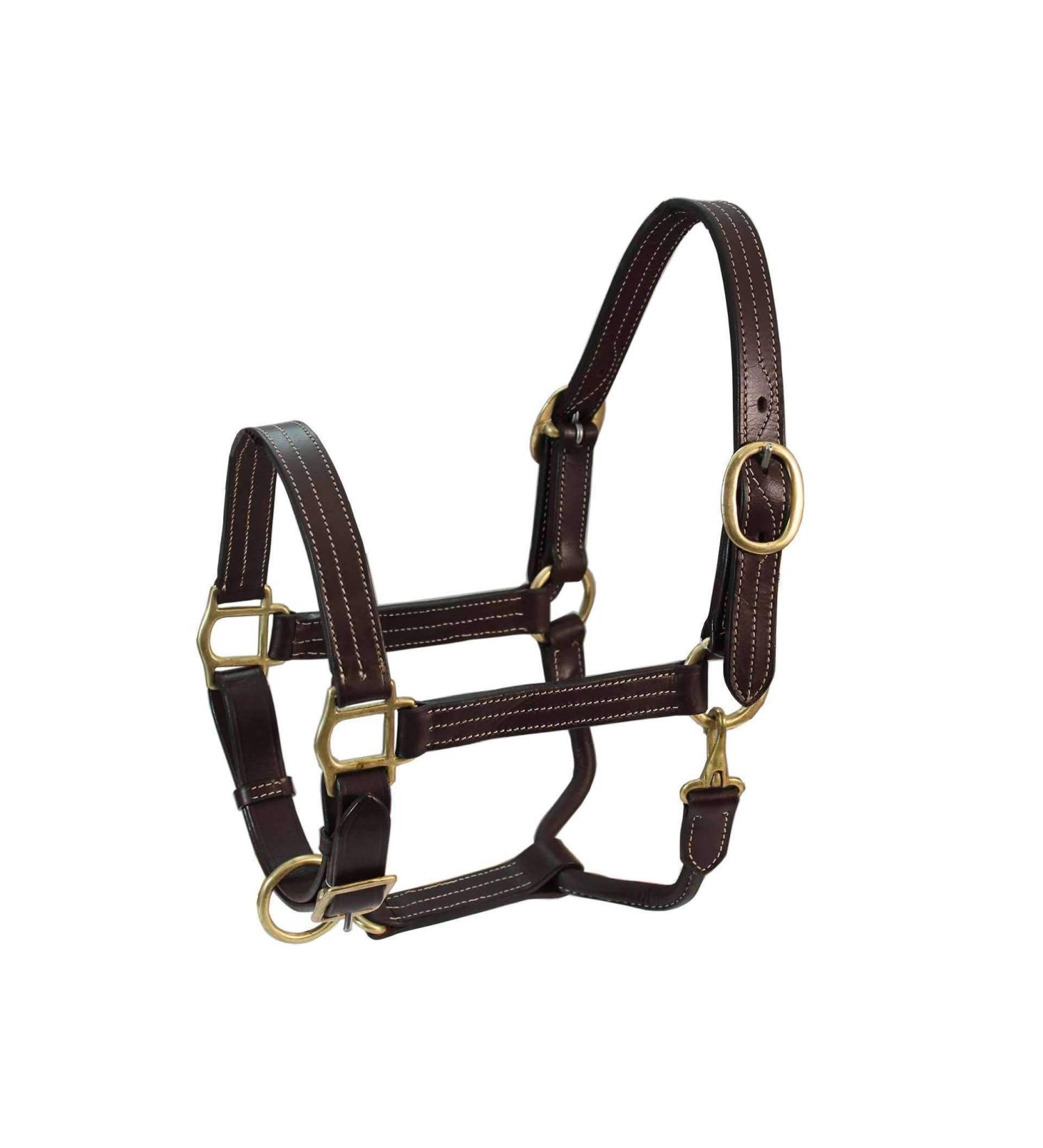 Derby Originals Coventry Triple Stitch Leather Halter - Full/Average Sizes - Buy Online on SooperMarket.com