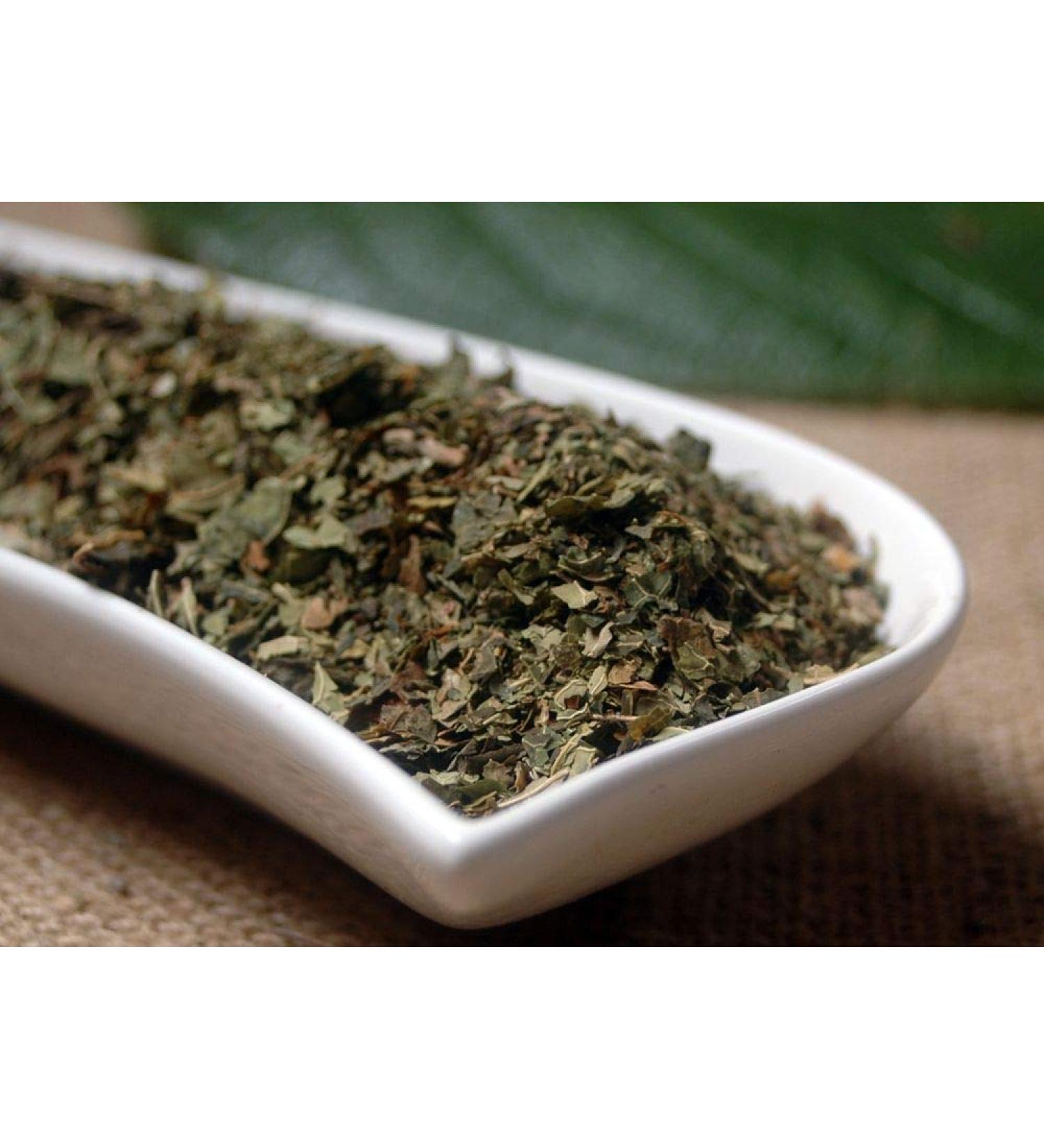 Krauterino24 - Papaya leaves cut quantity: 1000g