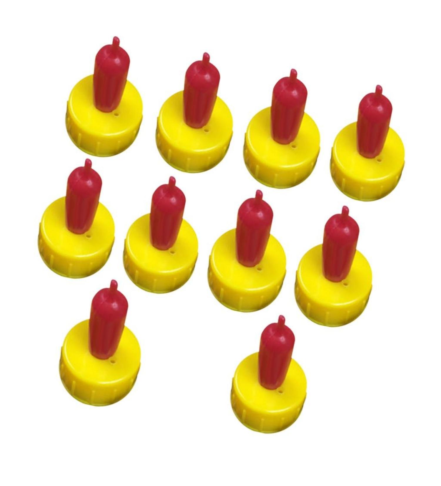 Soft Drink Bottle for Young Animals - Pack of 10 - Buy Online on SooperMarket.com