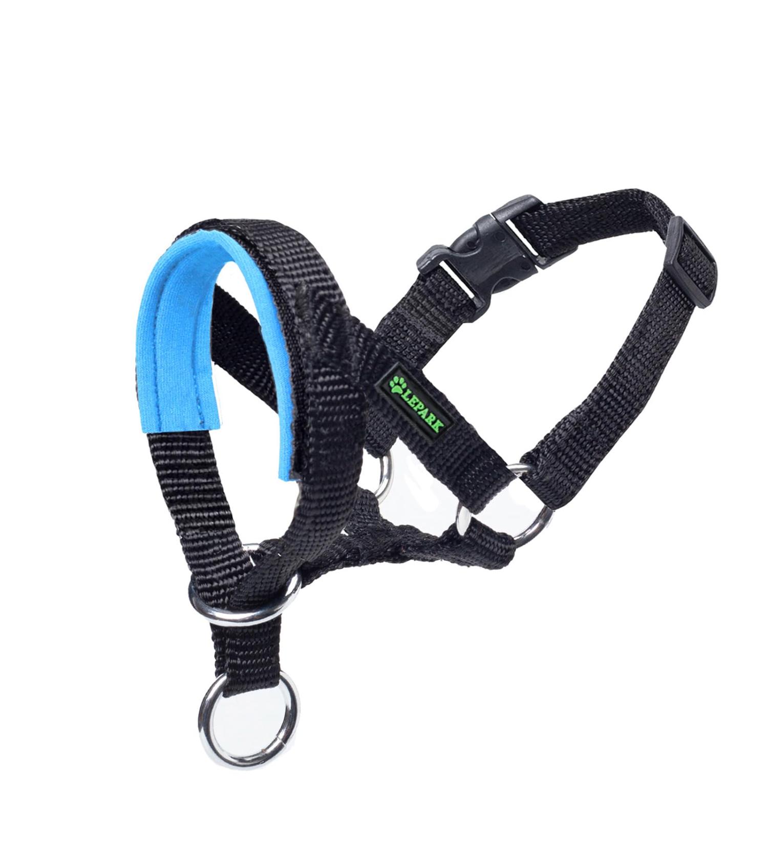 Padded Dog Head Collar for Anti-Pulling Control | Adjustable Head Harness in L Lake Blue - Buy Online on SooperMarket.com