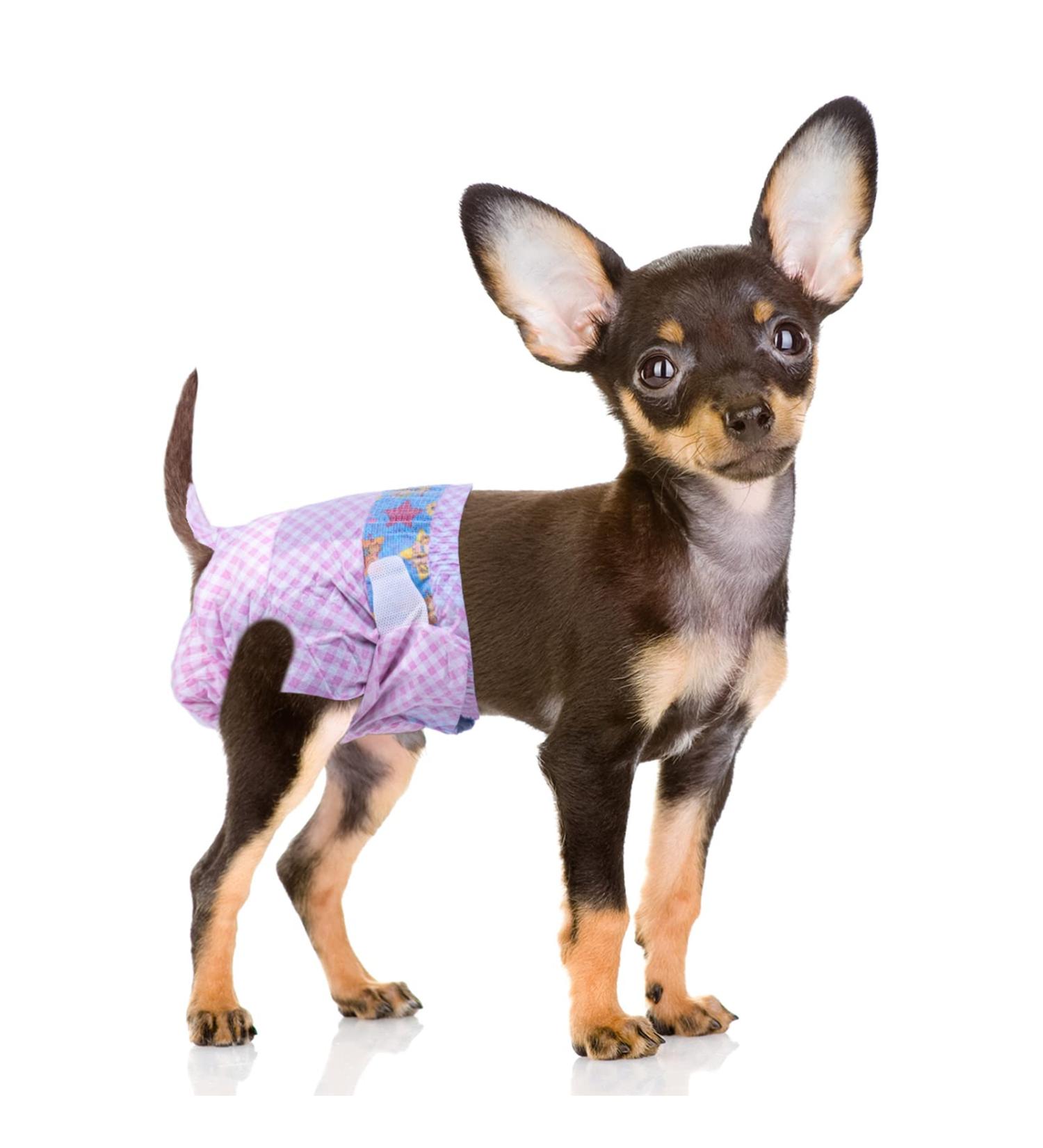 Buy Flying Paws Disposable Dog Diapers - Adjustable XS (20 Pack) for Dogs & Cats Perfect for Potty Training | International Shipping Available - Buy Online on SooperMarket.com