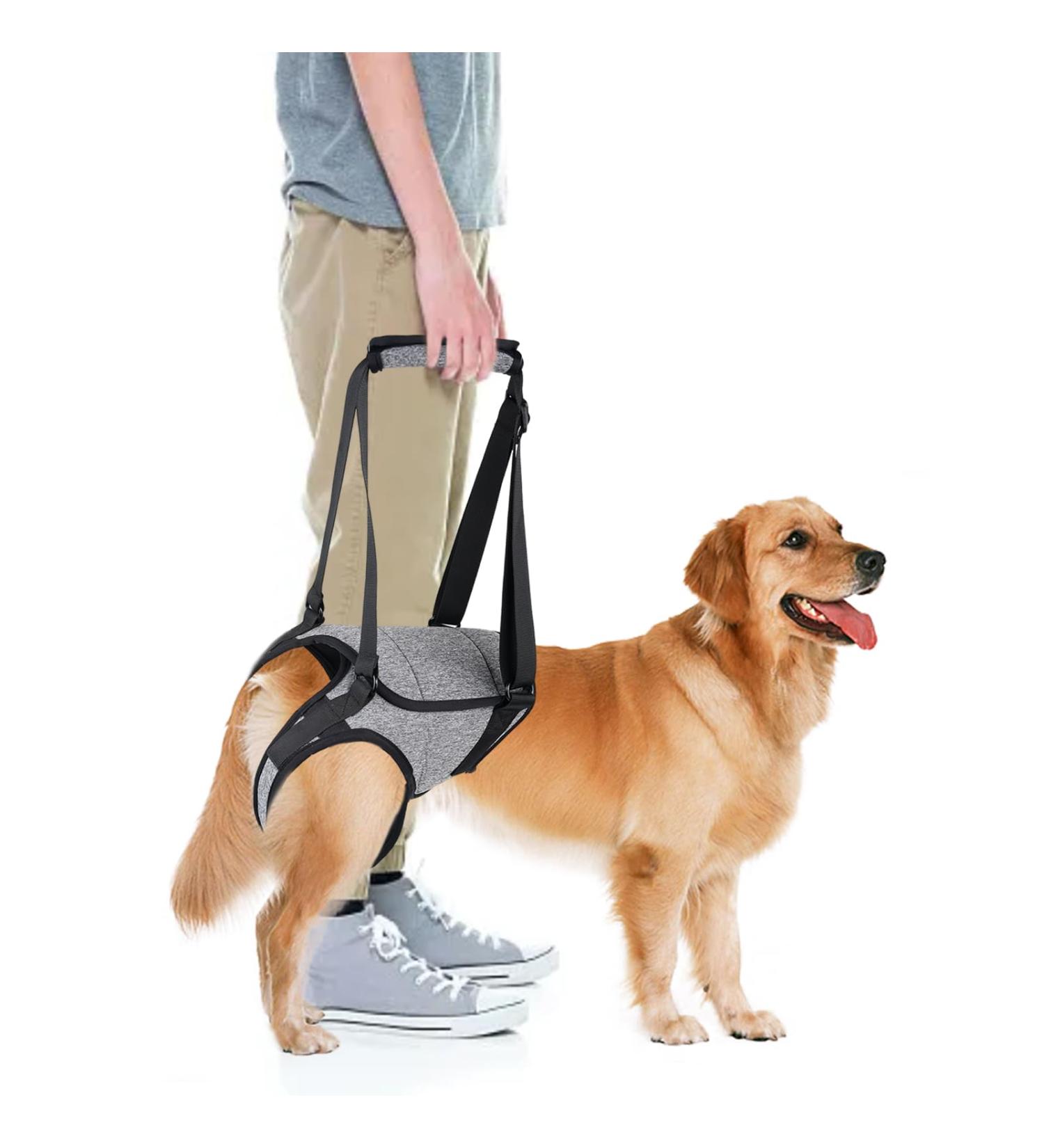 Hamon Portable Dog Harness for Hind Legs | Dog Lifting Aid for Older & Sick Dogs (Large) - Buy Online on SooperMarket.com