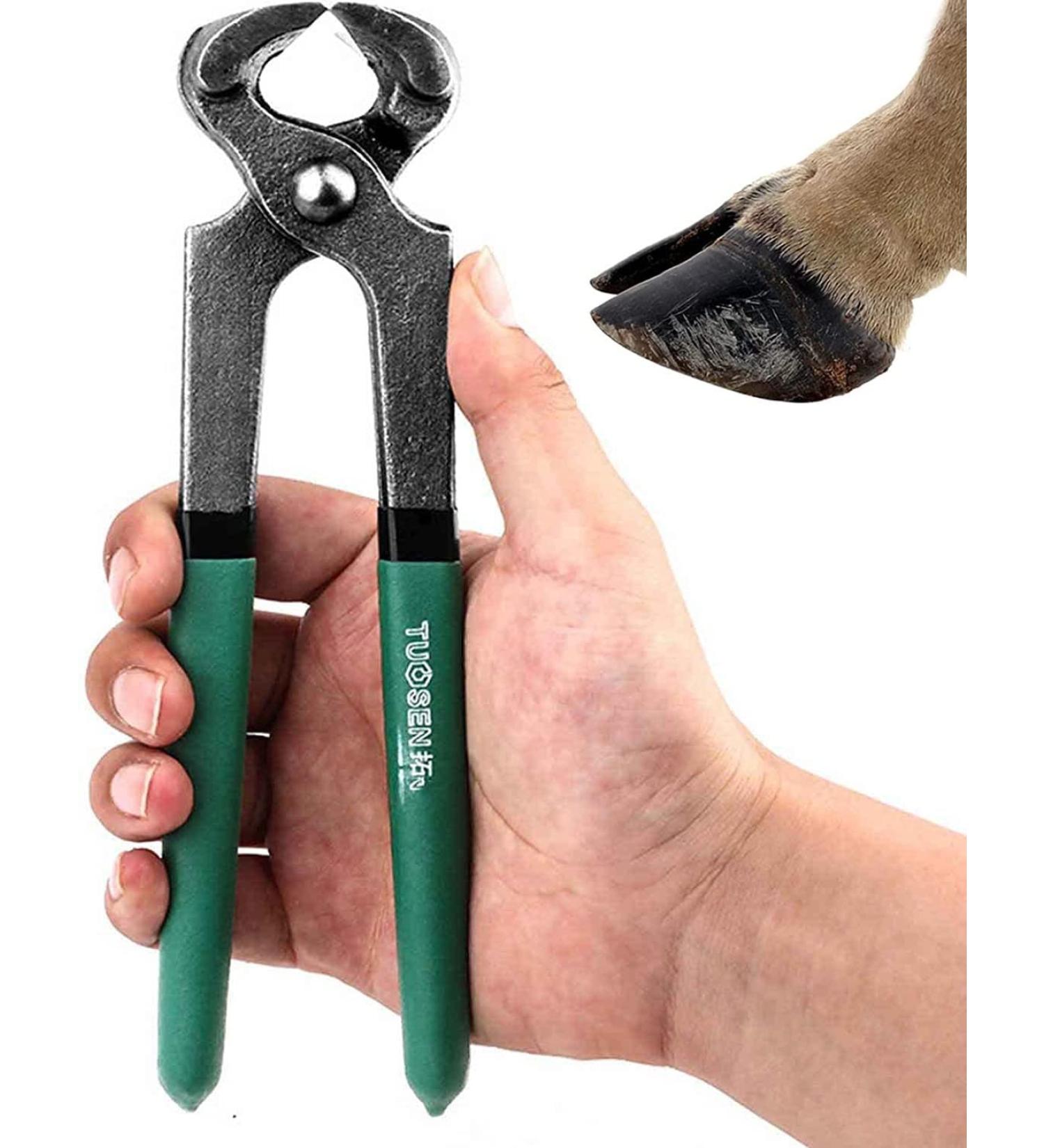 iksya Horse Hoof Nippers Trimmer - Professional Horse Farrier Tool Trimming Shears Nail Clippers for Goats Sheep Pigs Cattle Horses with Rubber Grip (Color : Green) - Buy Online on SooperMarket.com