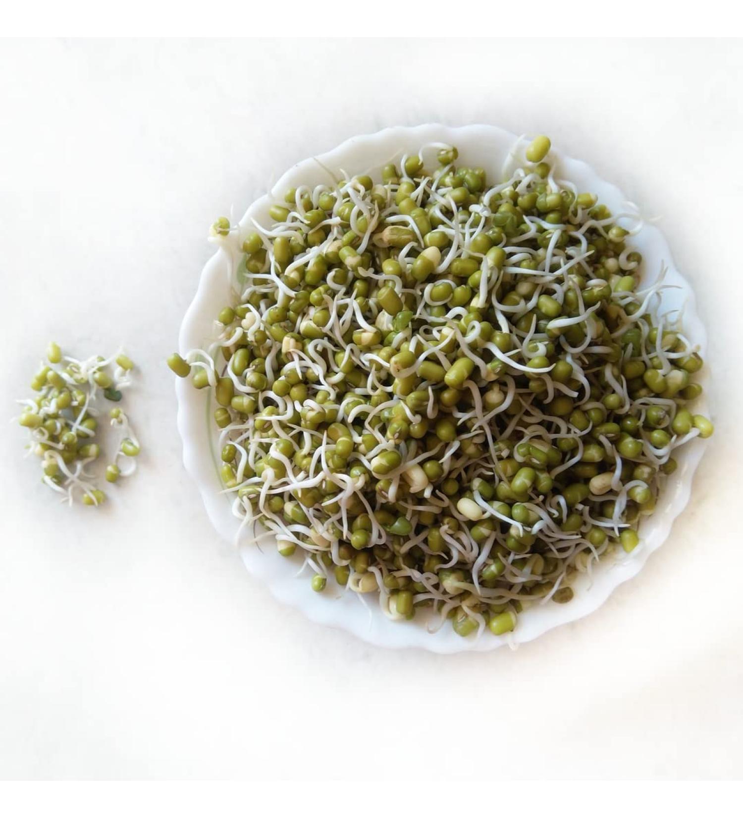 Moong Sprout 800gr