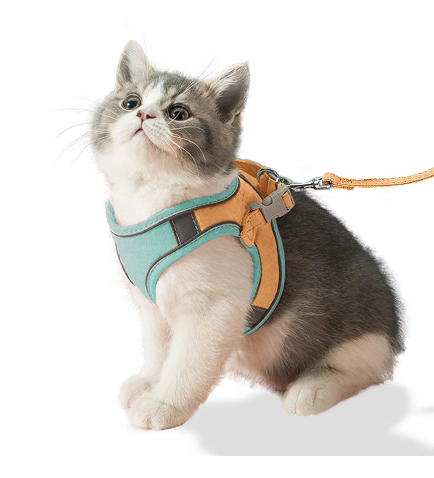 Fueegue Cat Harness with Leash - Escape Proof Adjustable Soft Harness for Cats & Small Dogs - Green S - Buy Online on SooperMarket.com