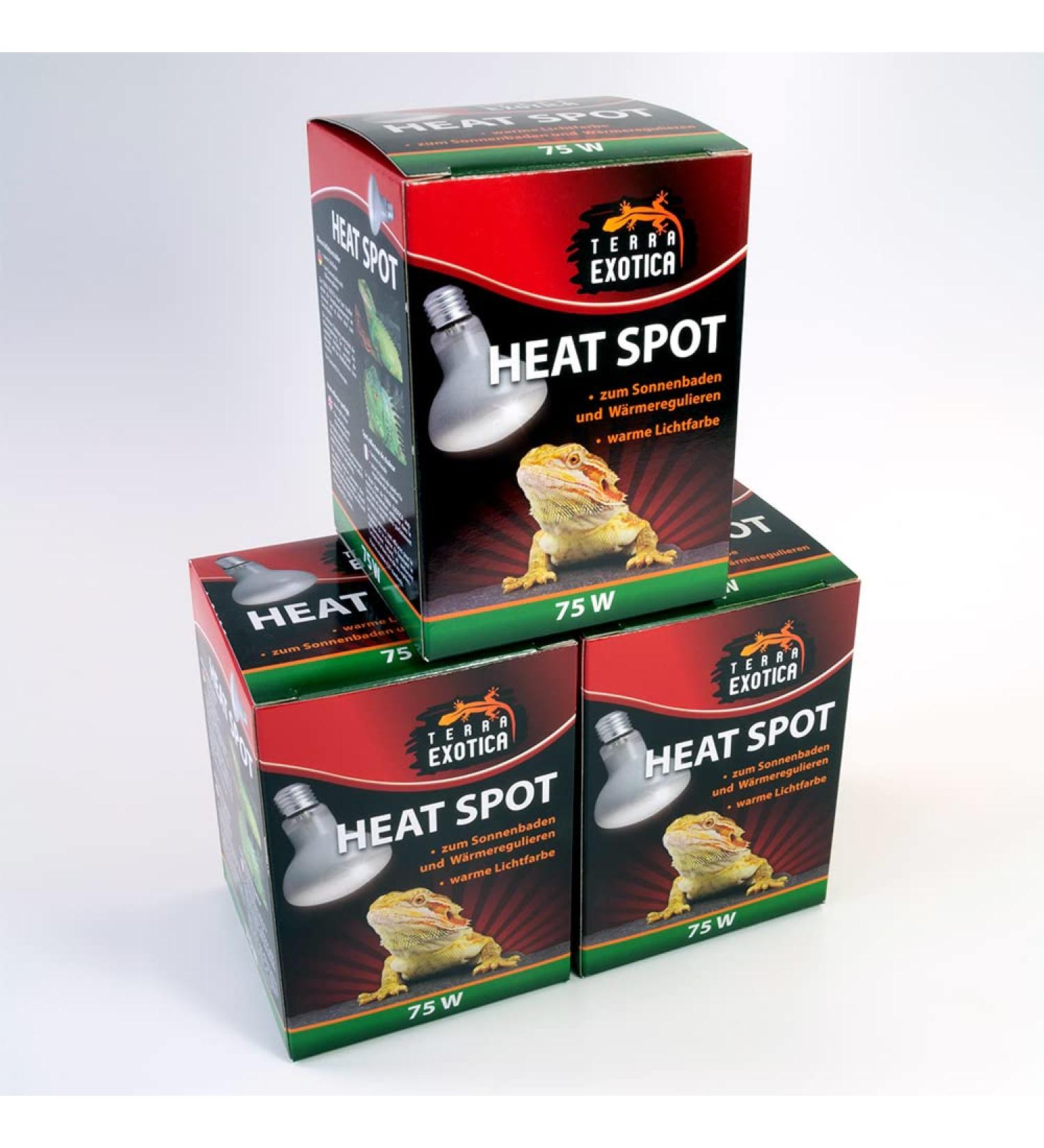 Terra Exotica 75W Heat Spot Bulb for Reptiles - 3 Pack Terrarium Lighting - Optimal Heat for Reptile Habitats - 25W 40W 60W 100W 150W Options Available - Buy Online on SooperMarket.com