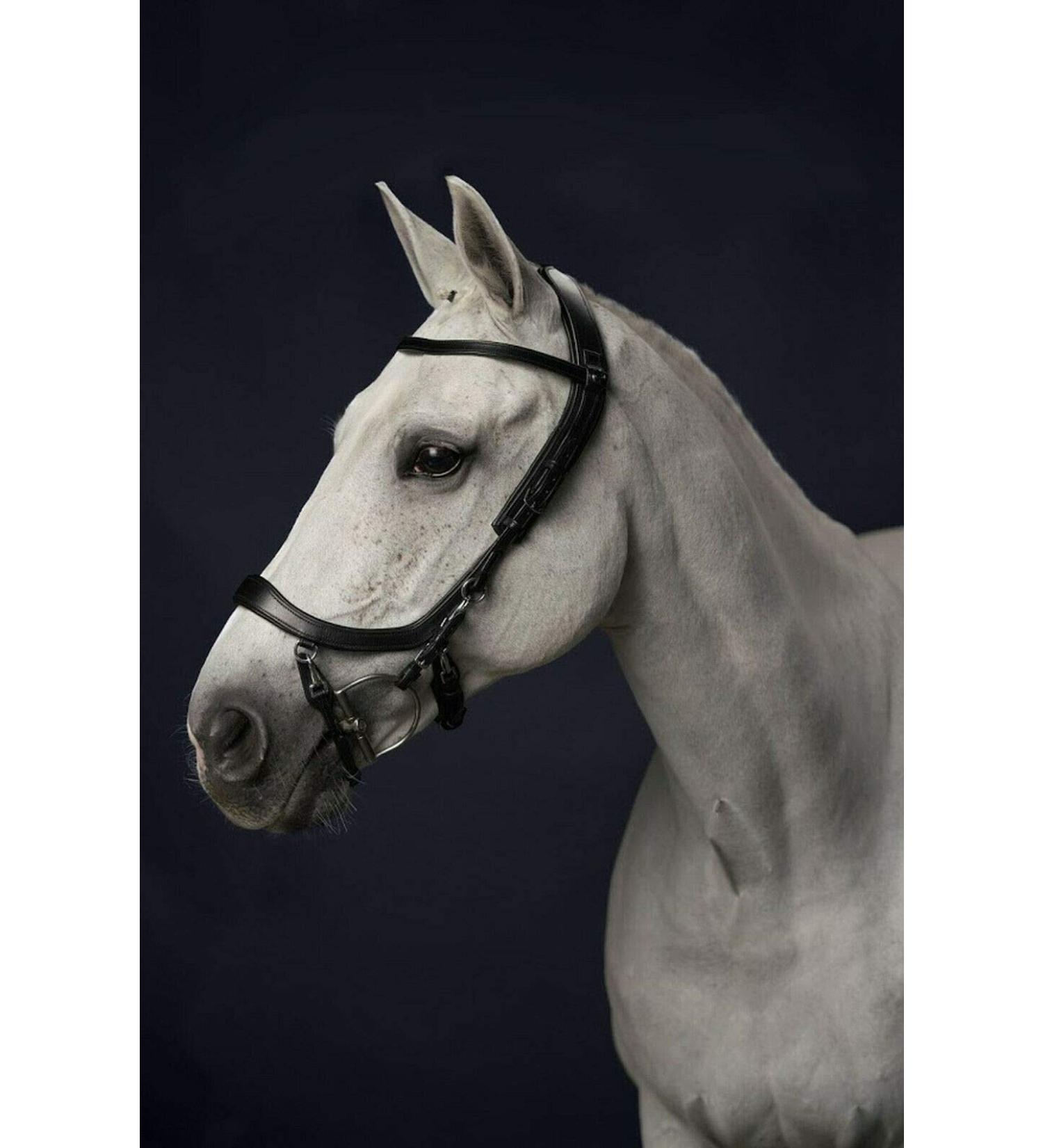 Buy PresTeq FaySport Snaffle Bridle Black Cob - Premium Equestrian Gear for International Shipping - Buy Online on SooperMarket.com