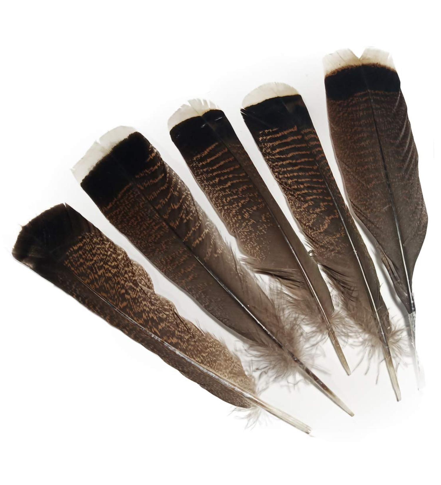 Lampu 10-12inches Grade A Natural Turkey Feathers Crafts hat DIY Clothing Decoration per Pack of 10 10-12 Grade A Turkey Feathers