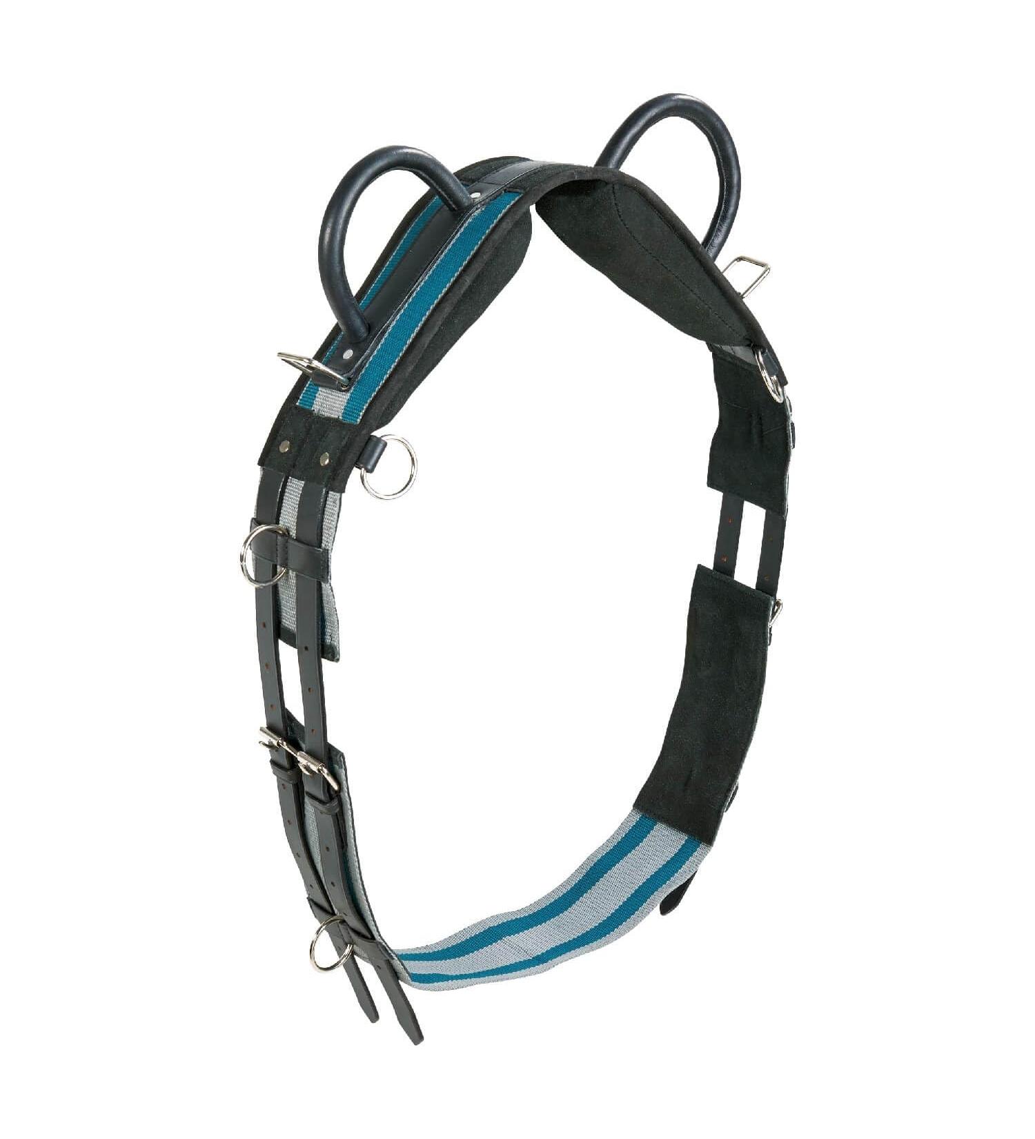 Lunging girth Double Shetty grey/teal green