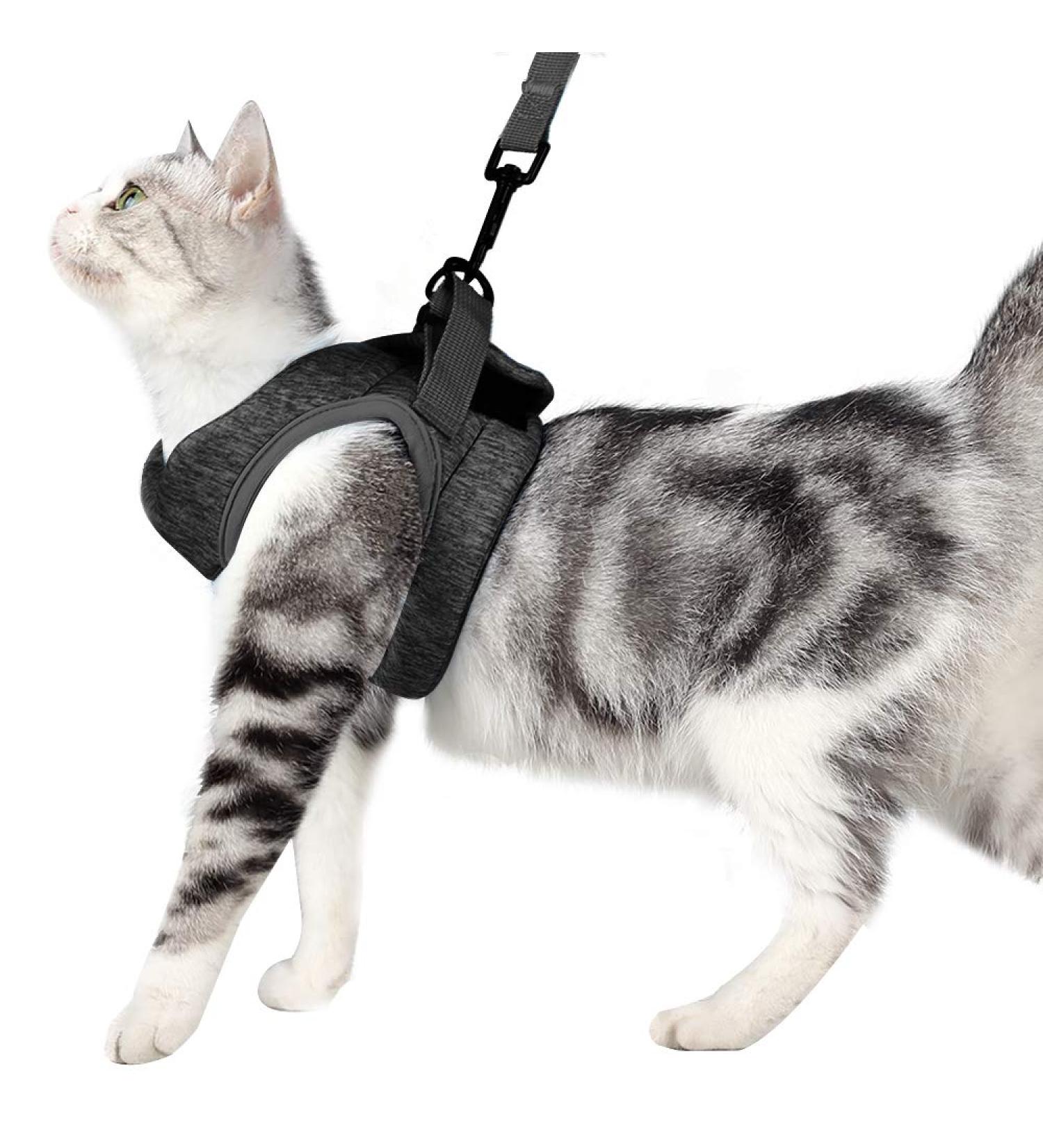 Adjustable Soft Cat Dishes & Ultra-Light Escape Protection Vest for Kittens & Puppies - Gray (1 Pack) - Buy Online on SooperMarket.com