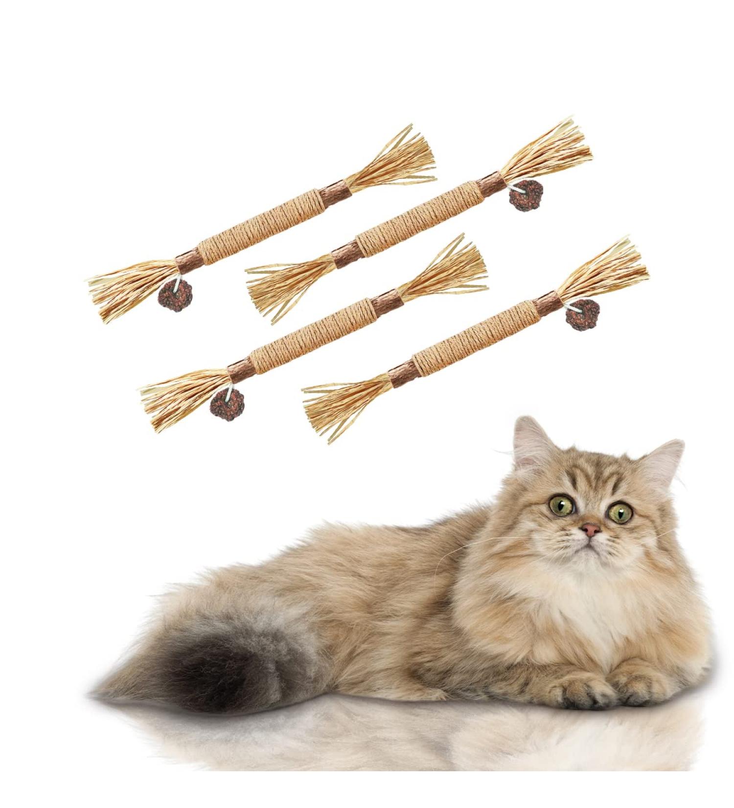 AGYM Cat Silvervine Stick Toy Set - Natural Chew Toys for Cats | Promotes Dental Health, Relaxation, and Digestion | Non-Addictive and Safe | 4 Pack - Buy Online on SooperMarket.com