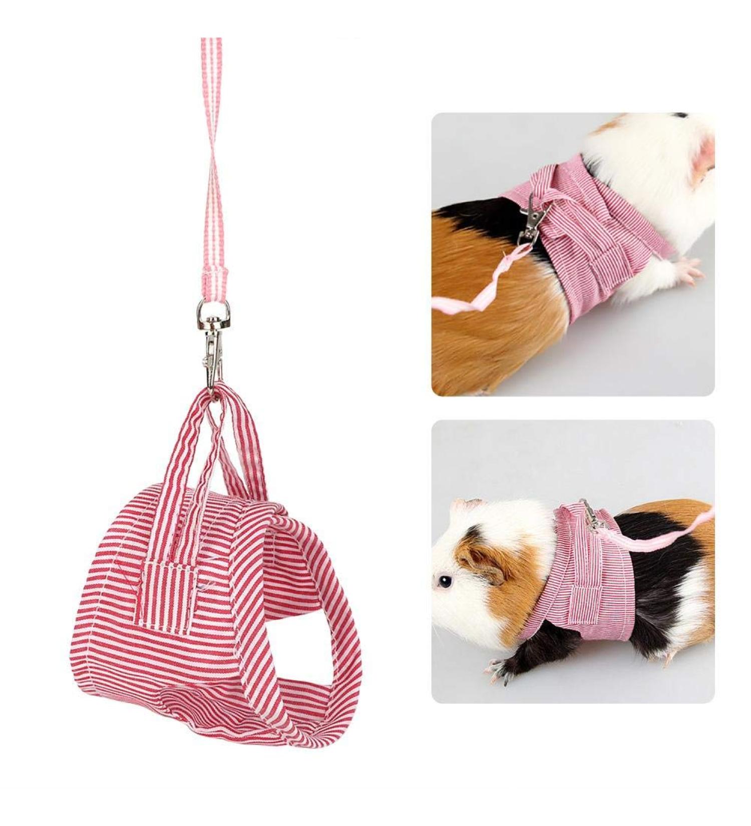 HEEPDD Small Animal Dishes & Leash for Guinea Pigs Squirrels Hedgehogs Chinchillas - Red L | Durable Pet Clothing & Accessories - Buy Online on SooperMarket.com