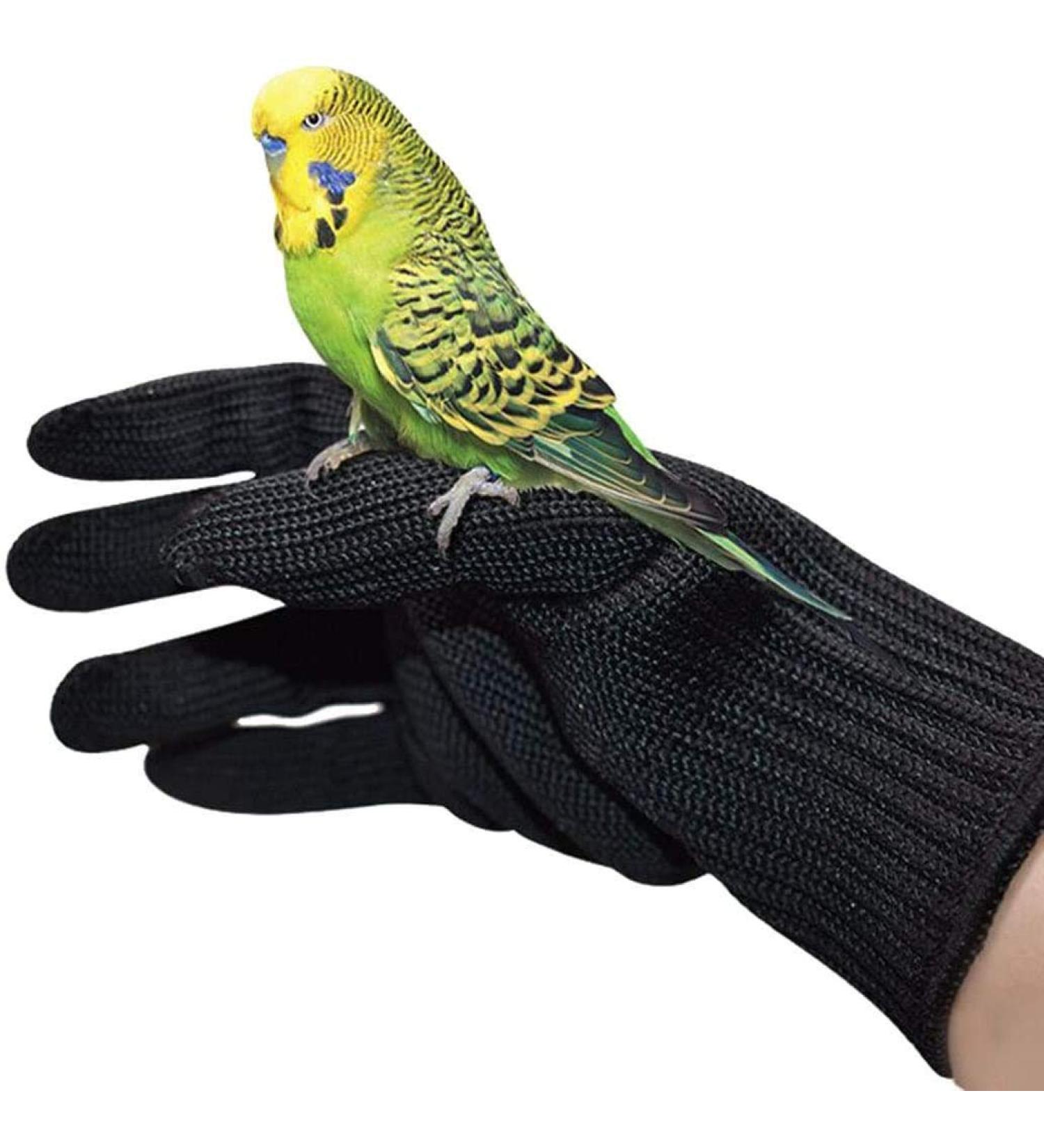 Alfyng Bird Training Anti-Bite Gloves for Small Animals Protective Chewing Gloves for Squirrels Hamsters Parrotlets Cockatiels Finches & Macaws (1 Pair) | Best International Shipping - Buy Online on SooperMarket.com