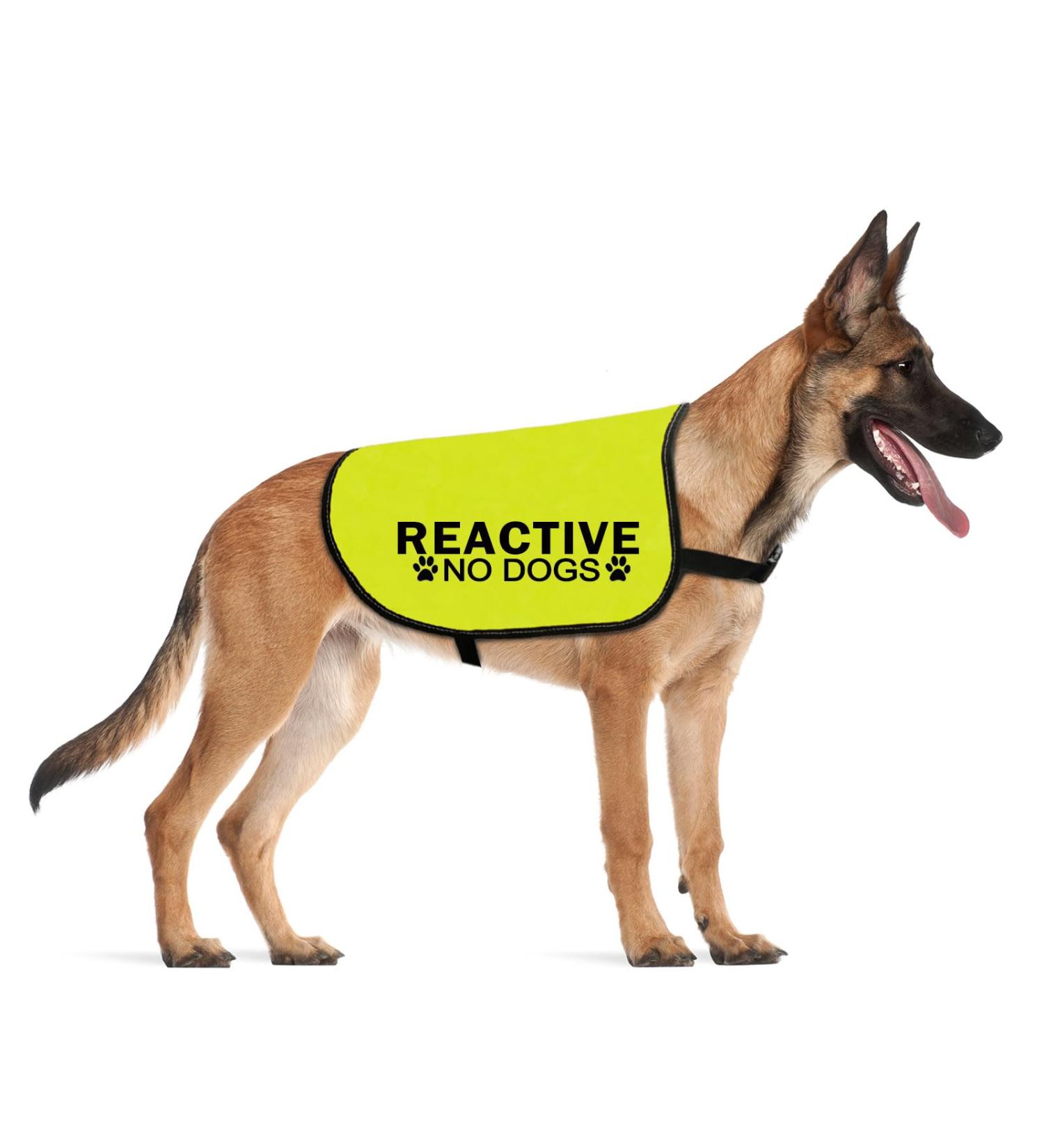 CENWA Reactive Dog Jacket Vest Do Not Pet Reactive No Dogs Service Dog Slogan Warning Vest (NO DOGS Reactive L EU) - Buy Online on SooperMarket.com