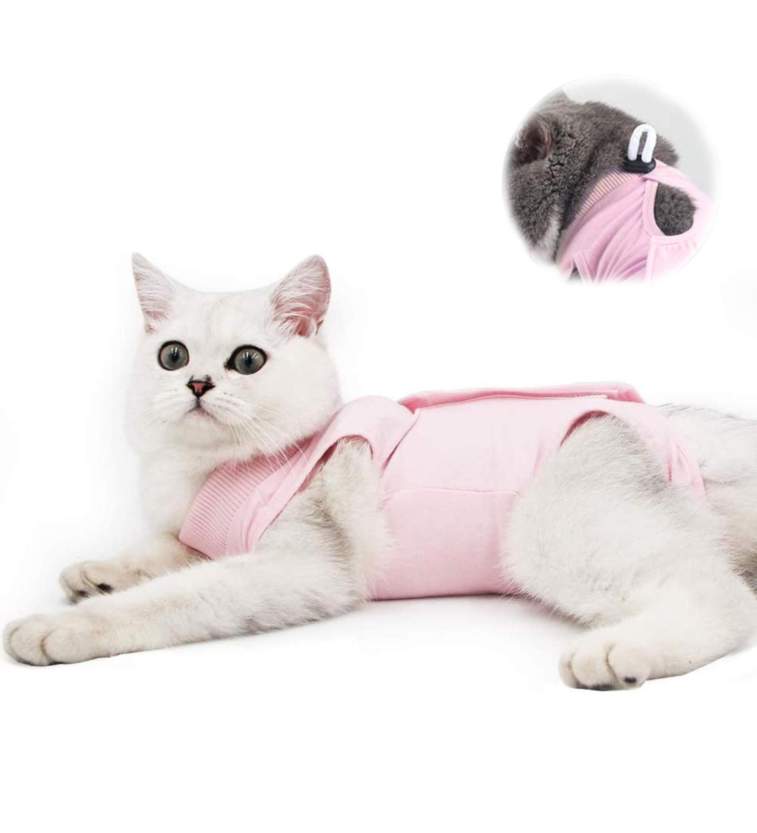 Cat Recovery Suit for Abdominal Wounds and Skin Diseases - Vet Recommended E-Collar Alternative - Medium Pink - Buy Online on SooperMarket.com