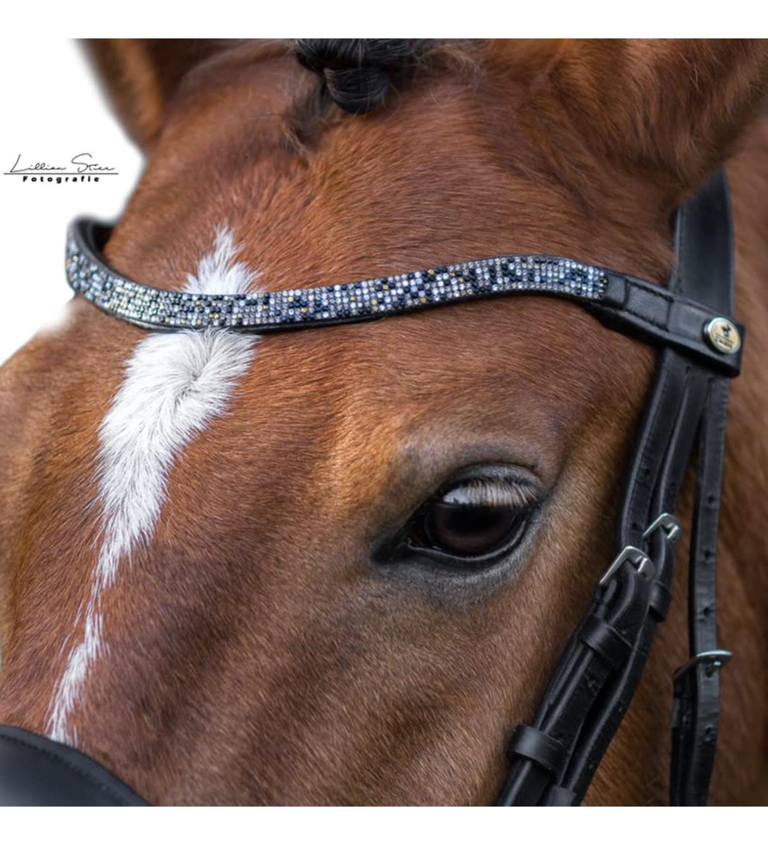 CALEVO - curved browband Twinkle black-golden night Warmblood-full