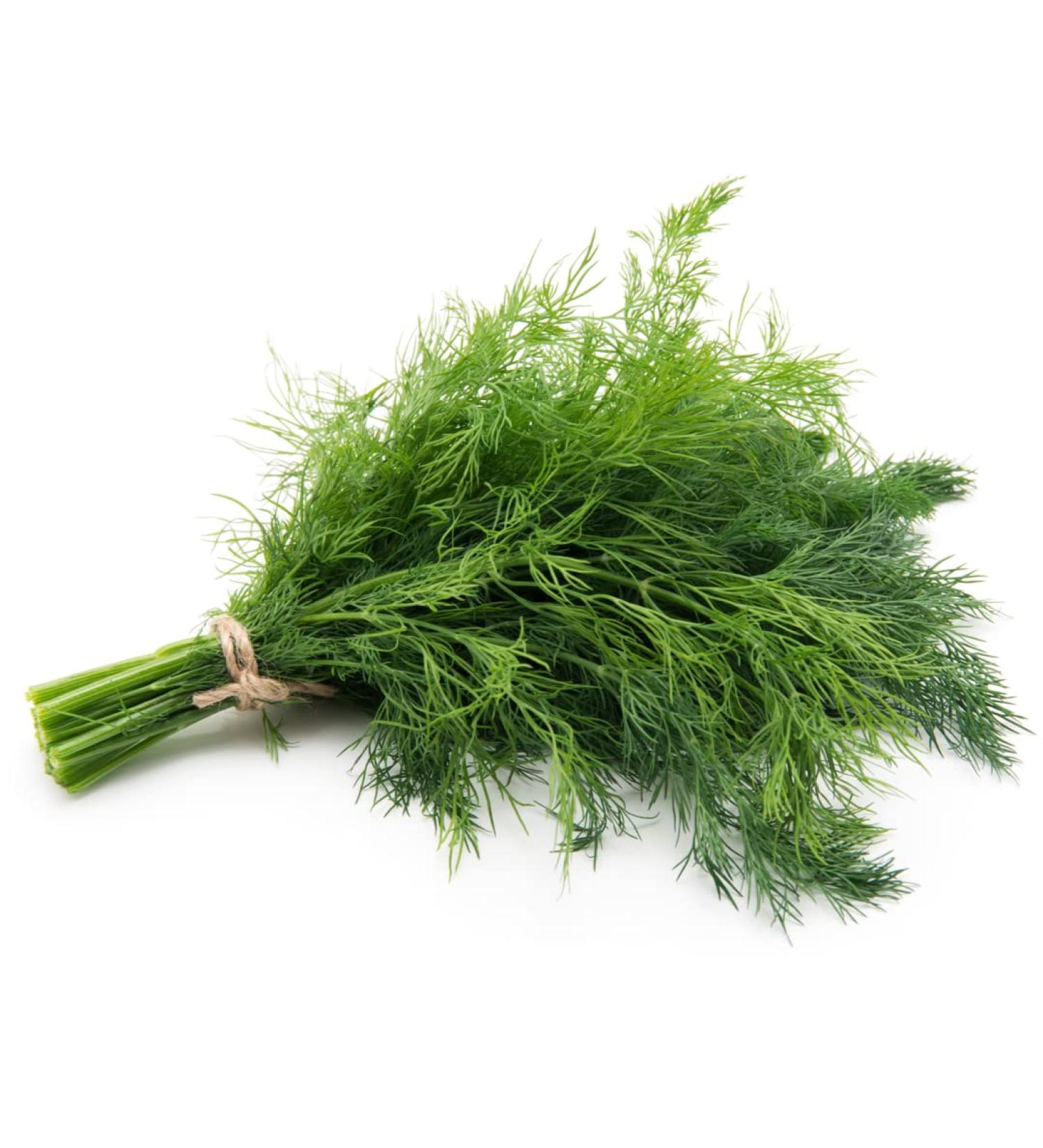 Dill 10 bunch