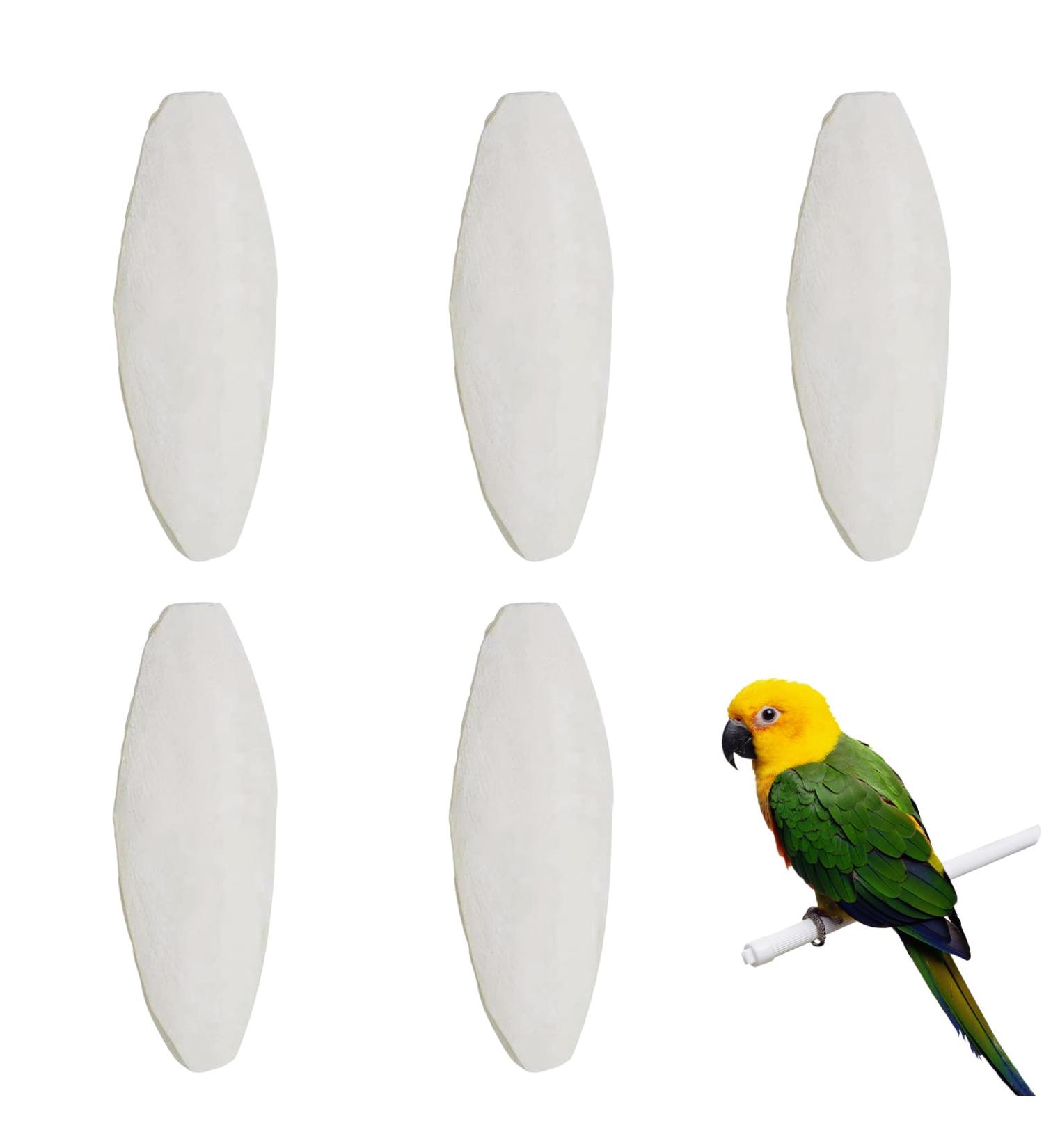 5pcs Small Cuttlefish Bone for Parrots | Natural Calcium Chew Toy for Birds - Buy Online on SooperMarket.com