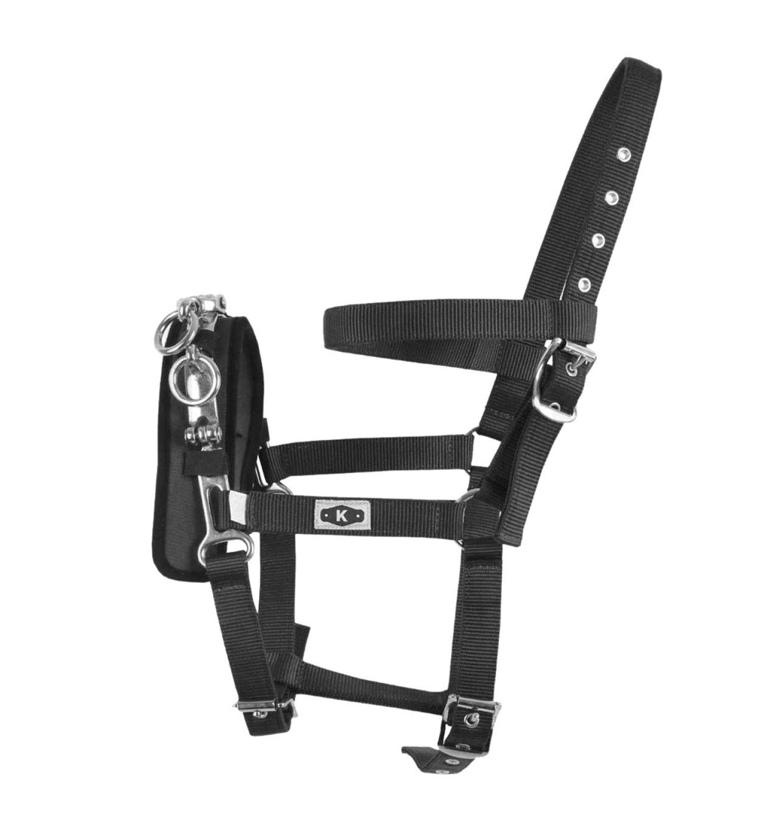 Kincade Coordinate Longe Cavesson (Full) (Black) - Buy Online on SooperMarket.com