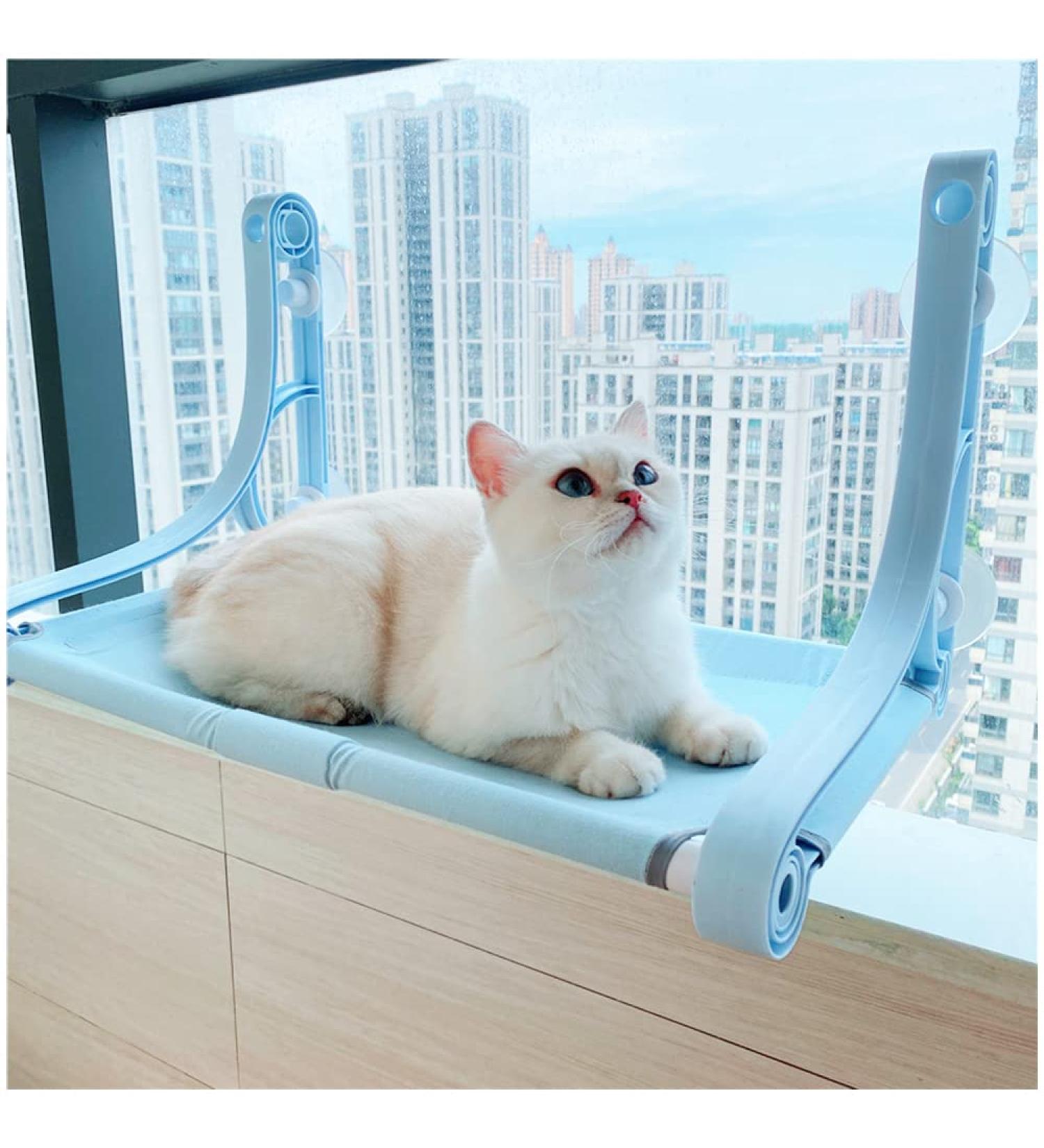 Cat Window Perch - Blue Cat Hammock for Window - Holds up to 48 lb - Safe & Comfortable Indoor Kitty Bed - Buy Online on SooperMarket.com