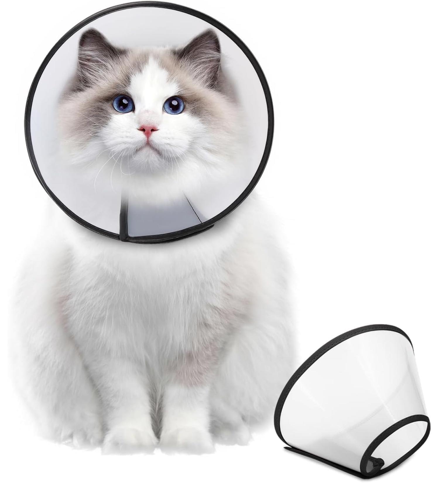 Super Protective Collar for Cats & Small Dogs | Plastic Neck Collar XS (9.8-11.2 in) - Optimal Comfort & Safety - Buy Online on SooperMarket.com