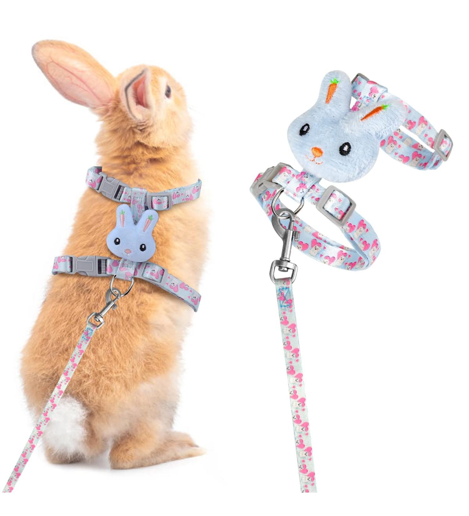 Adjustable Rabbit Leash & Cat Dishes - Perfect for Small Pets | International Shipping - Buy Online on SooperMarket.com