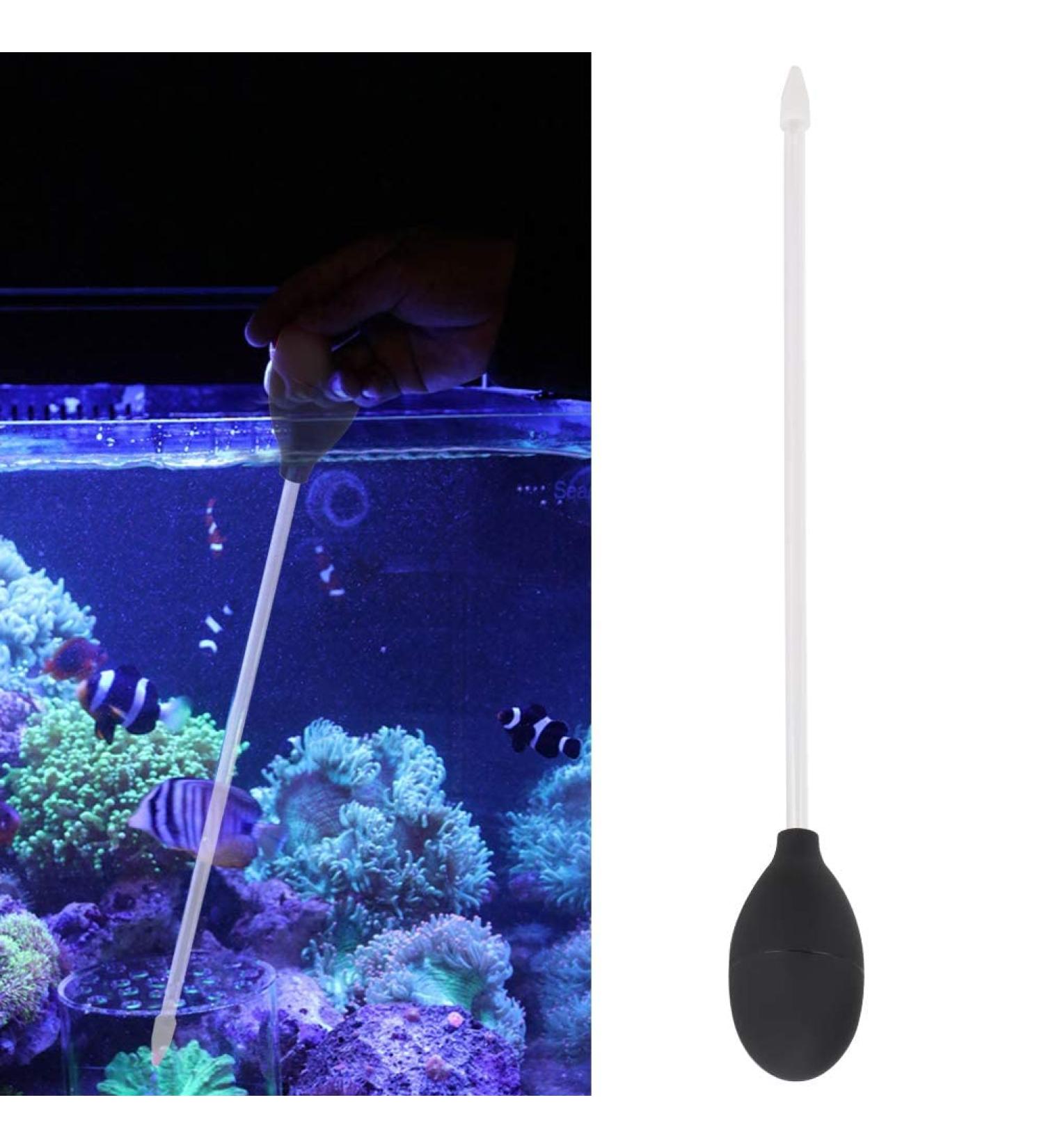 Fish Feeder Fish Feeders for Aquariums 2MM Long Acrylic Coral Feeder Fish Tanks Tube Coral Feeding Tube for Coral Feeding Cleaning for Reef Anemones(Black) Black Coral Feeding Tube - Buy Online on SooperMarket.com