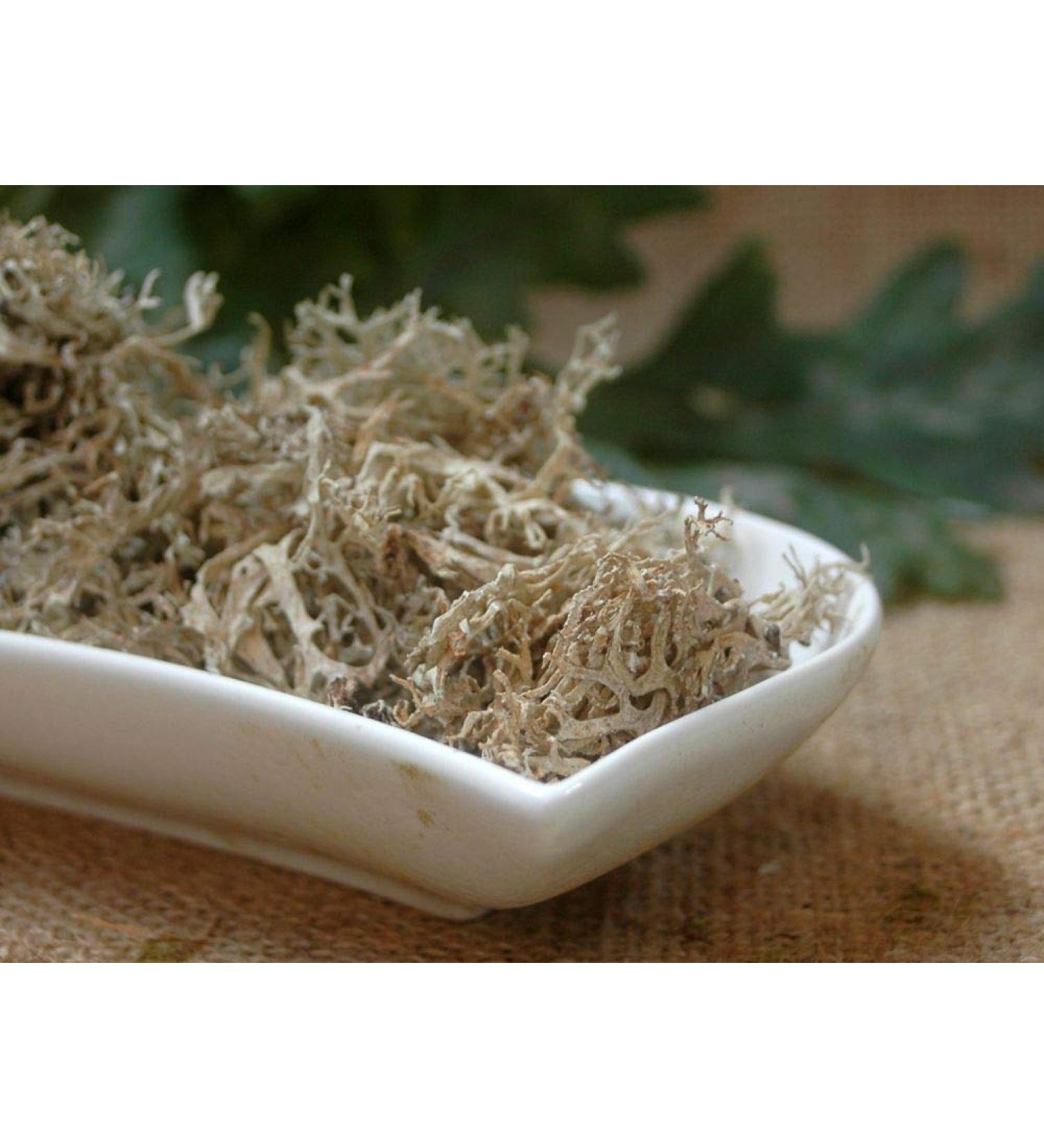 Krauterino24 - Oak moss cut quantity: 50g