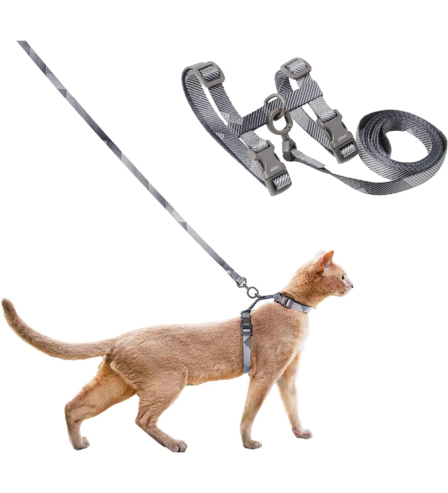 Shop Pidan Cat Dishes & Leash - Adjustable Travel-Friendly Bite-Proof Pet-Safe Dish for Cats | Gray | Fits All Sizes - Buy Online on SooperMarket.com