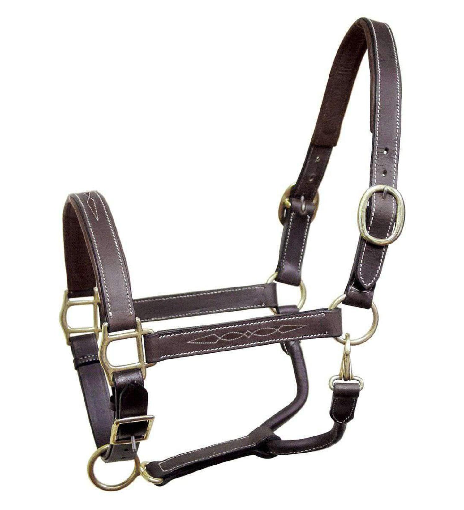 Derby Originals Liverpool Padded Leather Horse Halter - Cob/Arabian Size - Buy Online on SooperMarket.com