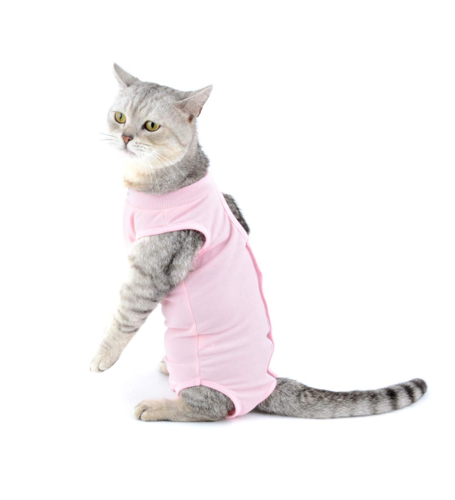 Ranphy Cat Recovery Suit for Abdominal Wounds or Skin Diseases Soft Cotton Surgical Recovery Shirt Breathable E-Collar Alternative After Surgery Home Indoor Anti Licking Clothes Pink M M(Chest:34cm Back:25cm Neck:24cm) pink - Buy Online on SooperMarket.com
