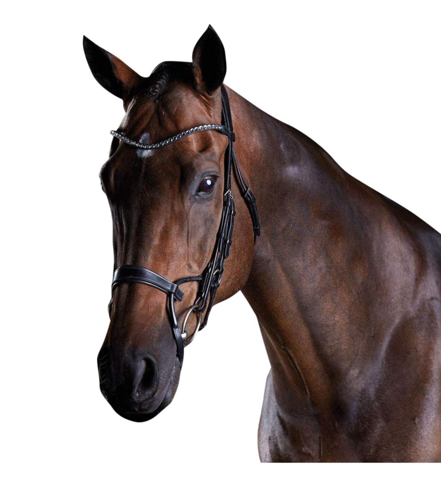 Collegiate 2021 Comfitec Crystal Bridle 80770 - Black Warmblood | Premium Equestrian Gear for International Shipping - Buy Online on SooperMarket.com