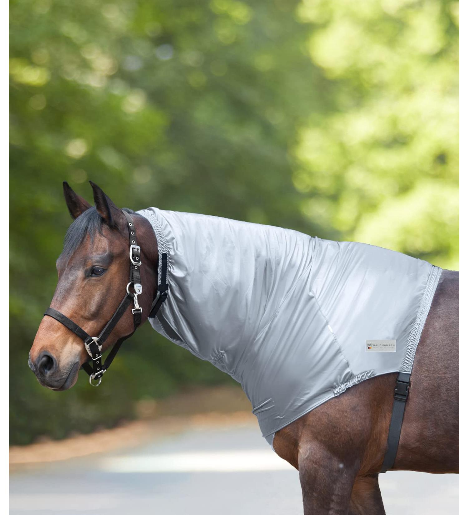 WALDHAUSEN Eczema Neckpiece silver grey PON