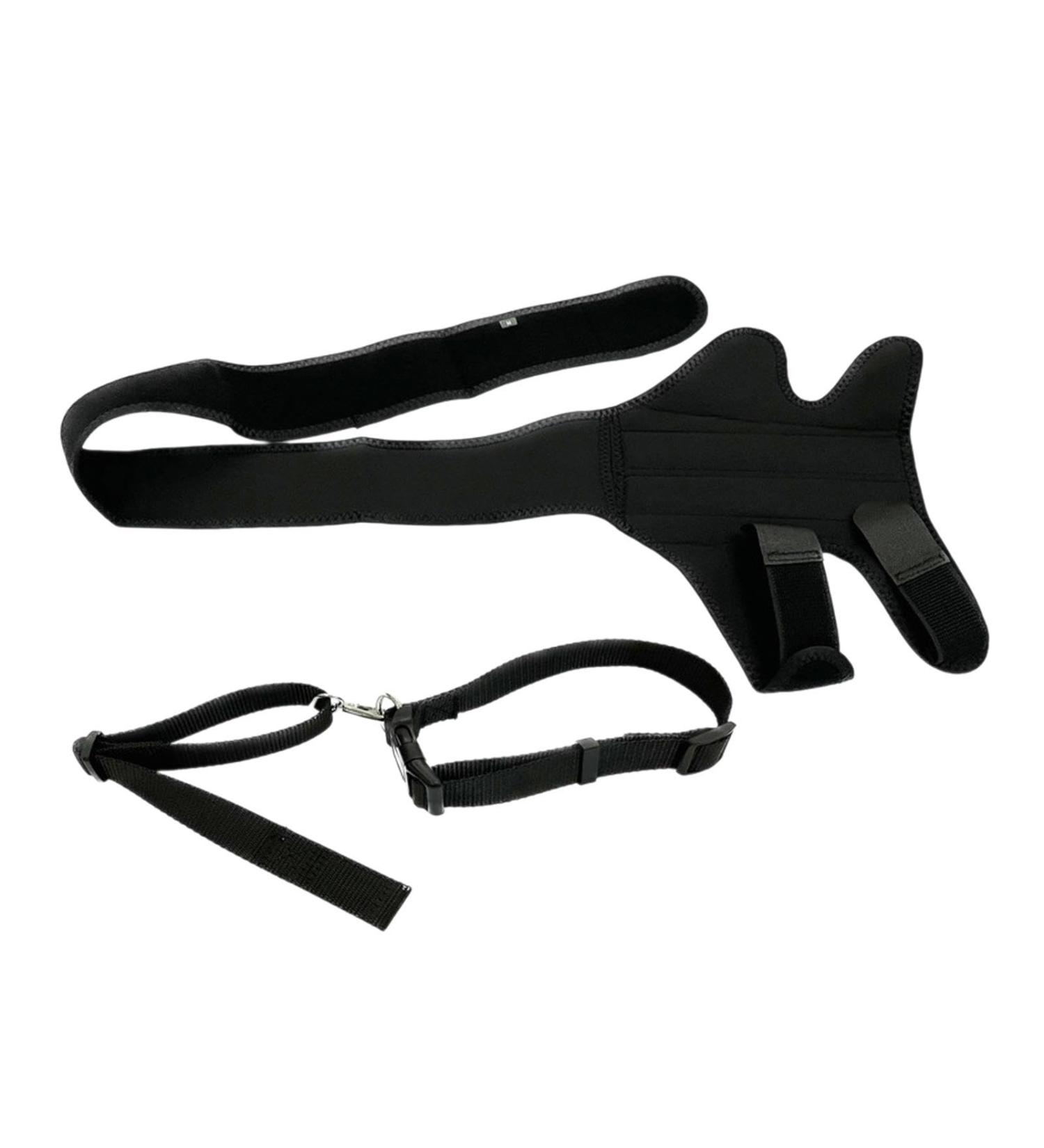 JISADER Pet Knee Support Brace for Enhanced Comfort and Mobility M 18.5 to 29.4cm - Buy Online on SooperMarket.com