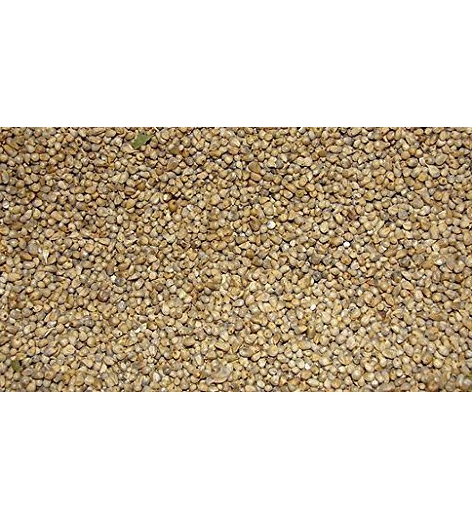 Jalpur - Whole Millet Seeds (Bajri Whole) - 1kg 1 kg (Pack of 1)