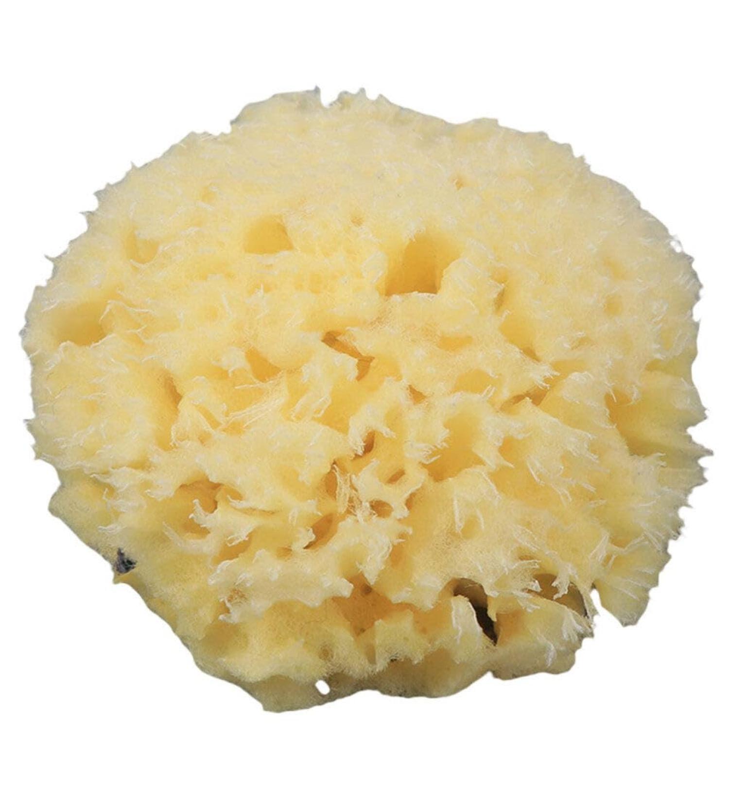 GANAZONO Esponja para Ba arse Cleaning Scrubber Shower Accessory Back Scrubber Bath Ball Shower Scrubber Bath Exfoliating Tool Bathroom Shower Ball Sponge Shower Supplies Body Baby - Buy Online on SooperMarket.com