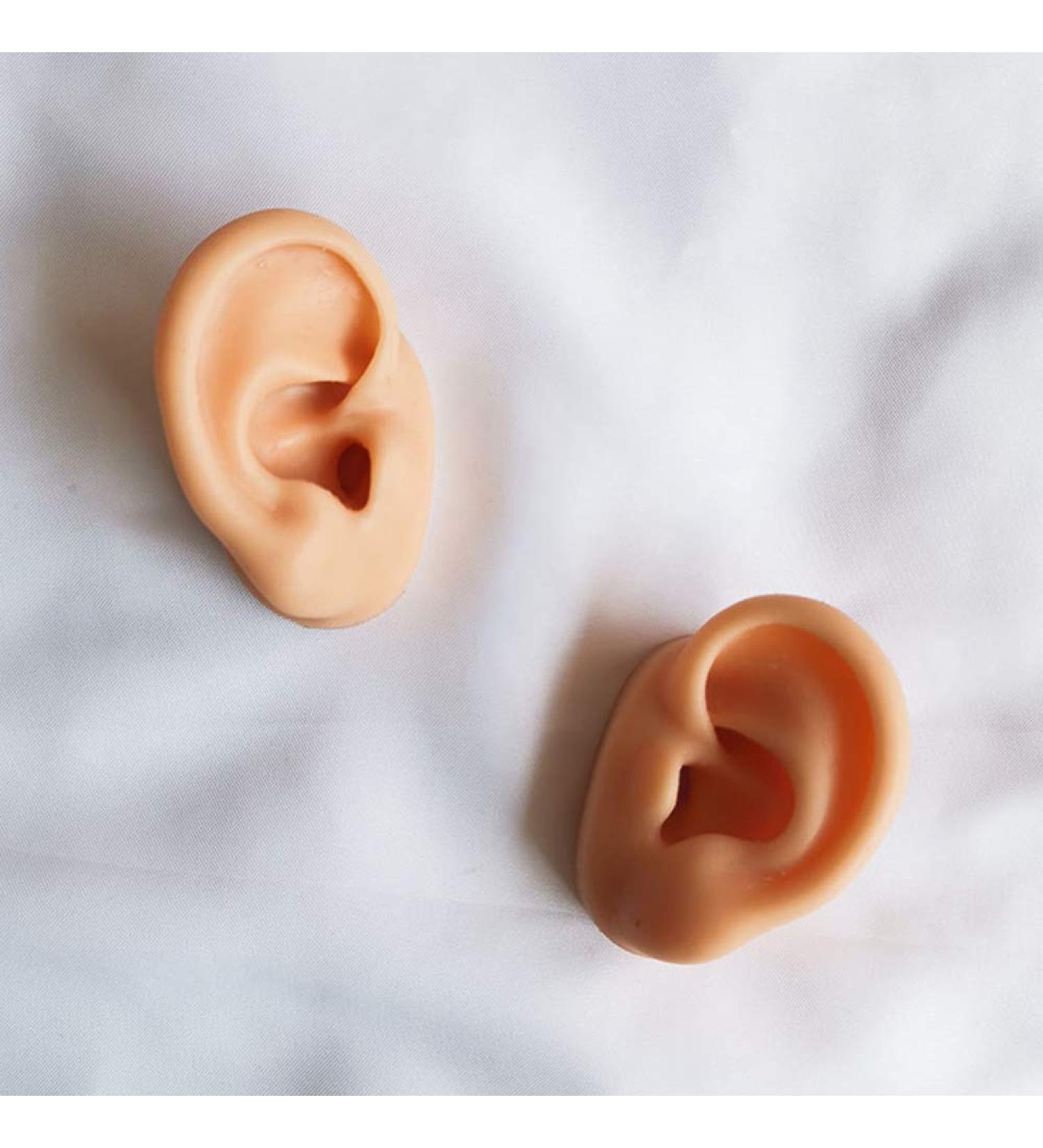 Soft Silicone Ear Model Artificial Human Ear for Acupuncture Ohr Picking Practice Practice Medical Teaching Display Props Left Right 1 Pair - Buy Online on SooperMarket.com