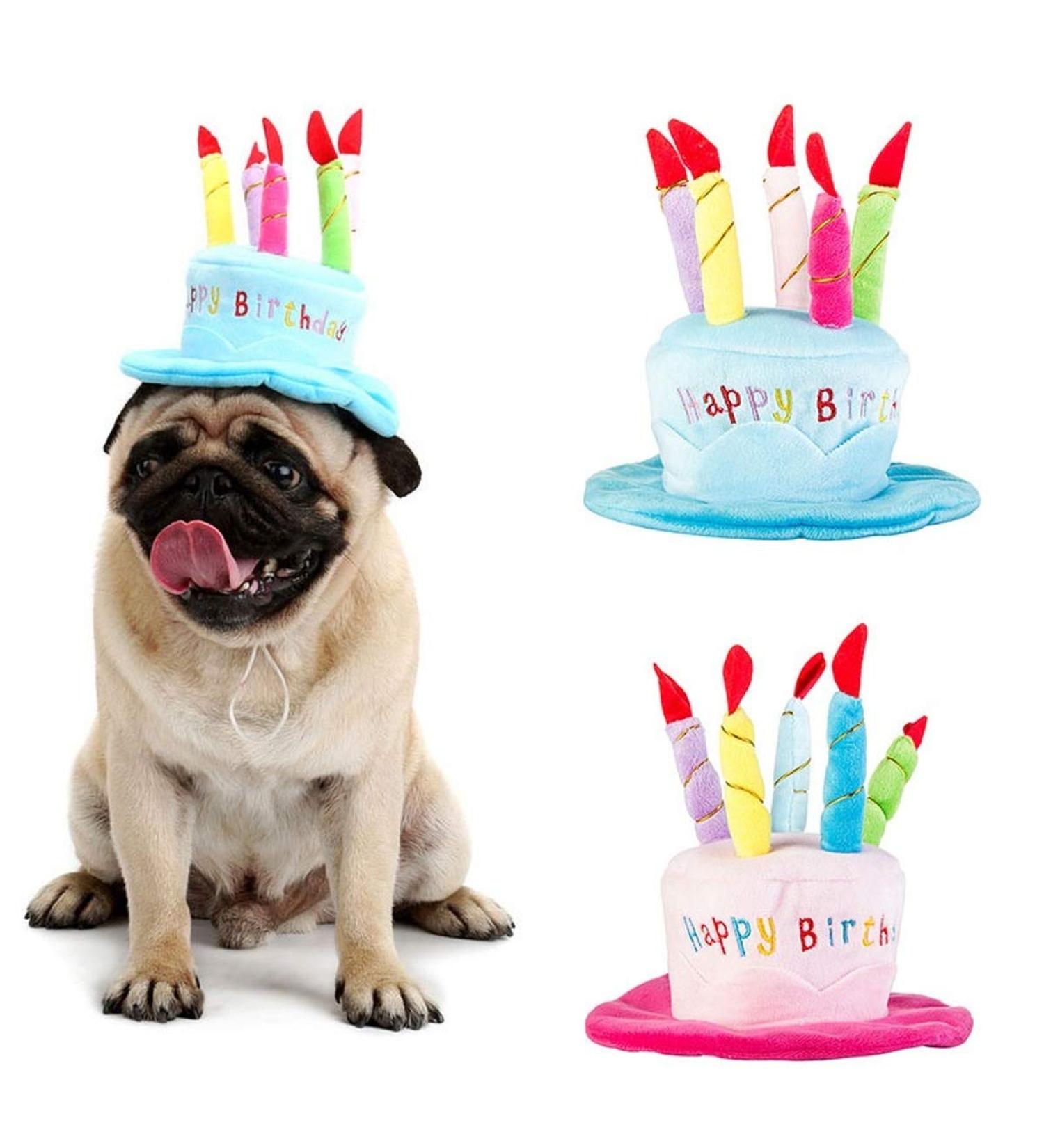 Cute Birthday Cake Hat for Pets with 5 Color Candles - Blue - Buy Online on SooperMarket.com