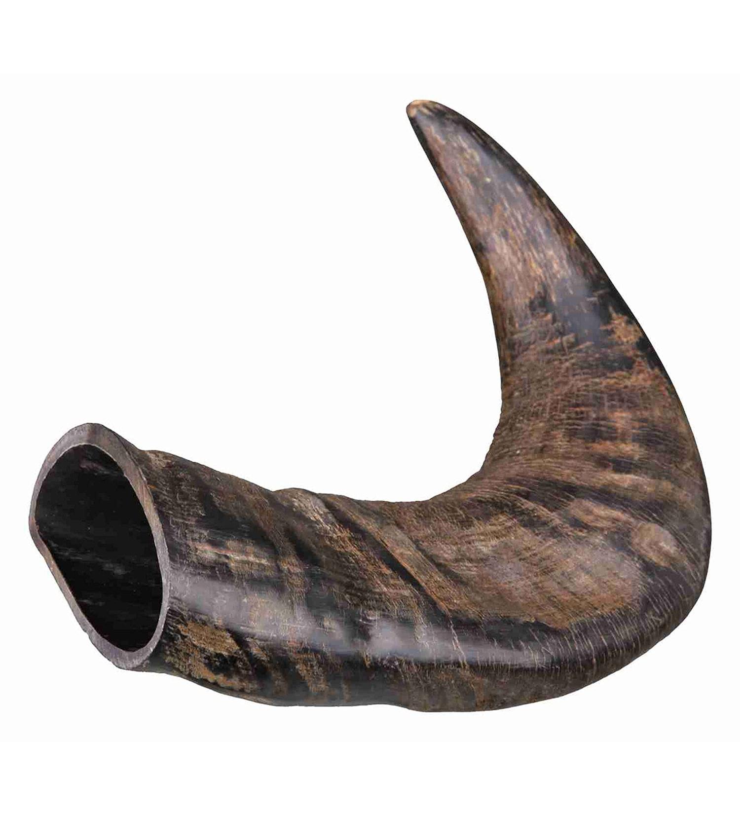Buy TX-27742 Buffalo Chewing Horn Medium M (1 Pack) - Natural Chew for Dogs | Eco-Friendly Pet Supplies - Worldwide Shipping - Buy Online on SooperMarket.com