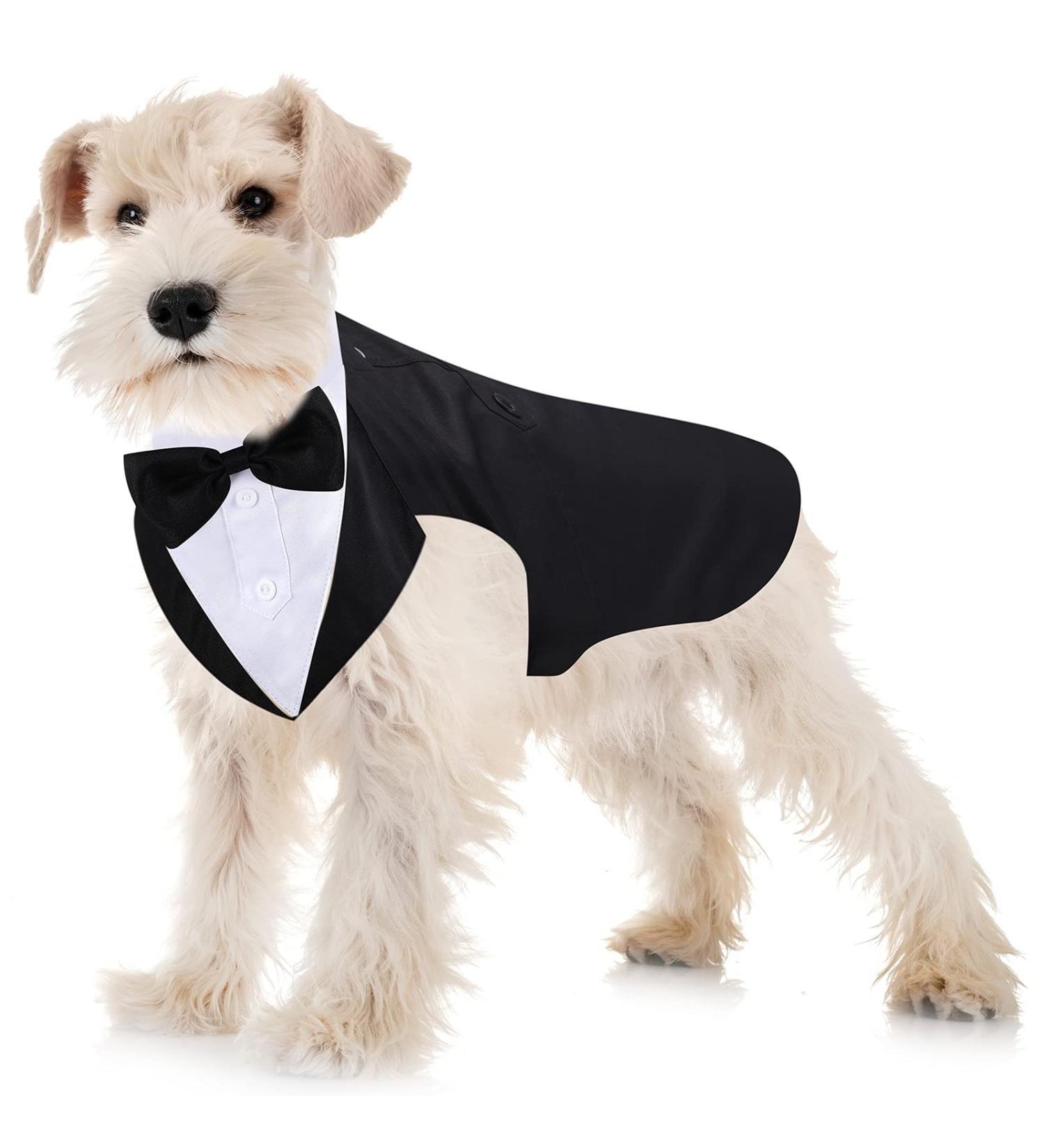 Dog Tuxedo and Bandana Set Dogs Formal Tuxedo PET Wedding Party Suit Wedding Bow Tie Shirt for Wedding Christmas Birthday Costumes (Cute Style M) Cute Style M - Buy Online on SooperMarket.com