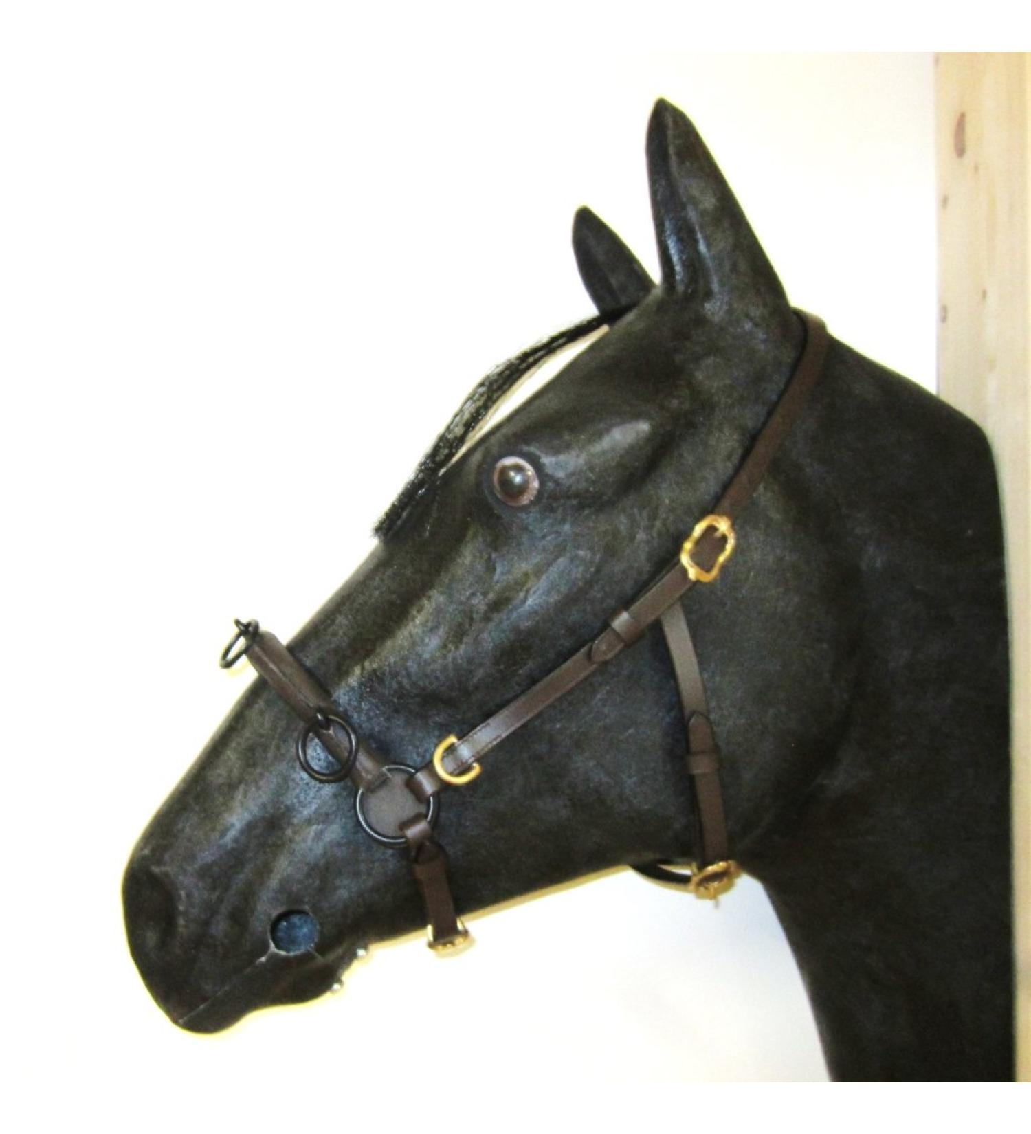 Buy PS Horse French Cavesson Cavecon with D-Rings - Soft Full Brown with Gold Fittings | International Shipping Available - Buy Online on SooperMarket.com