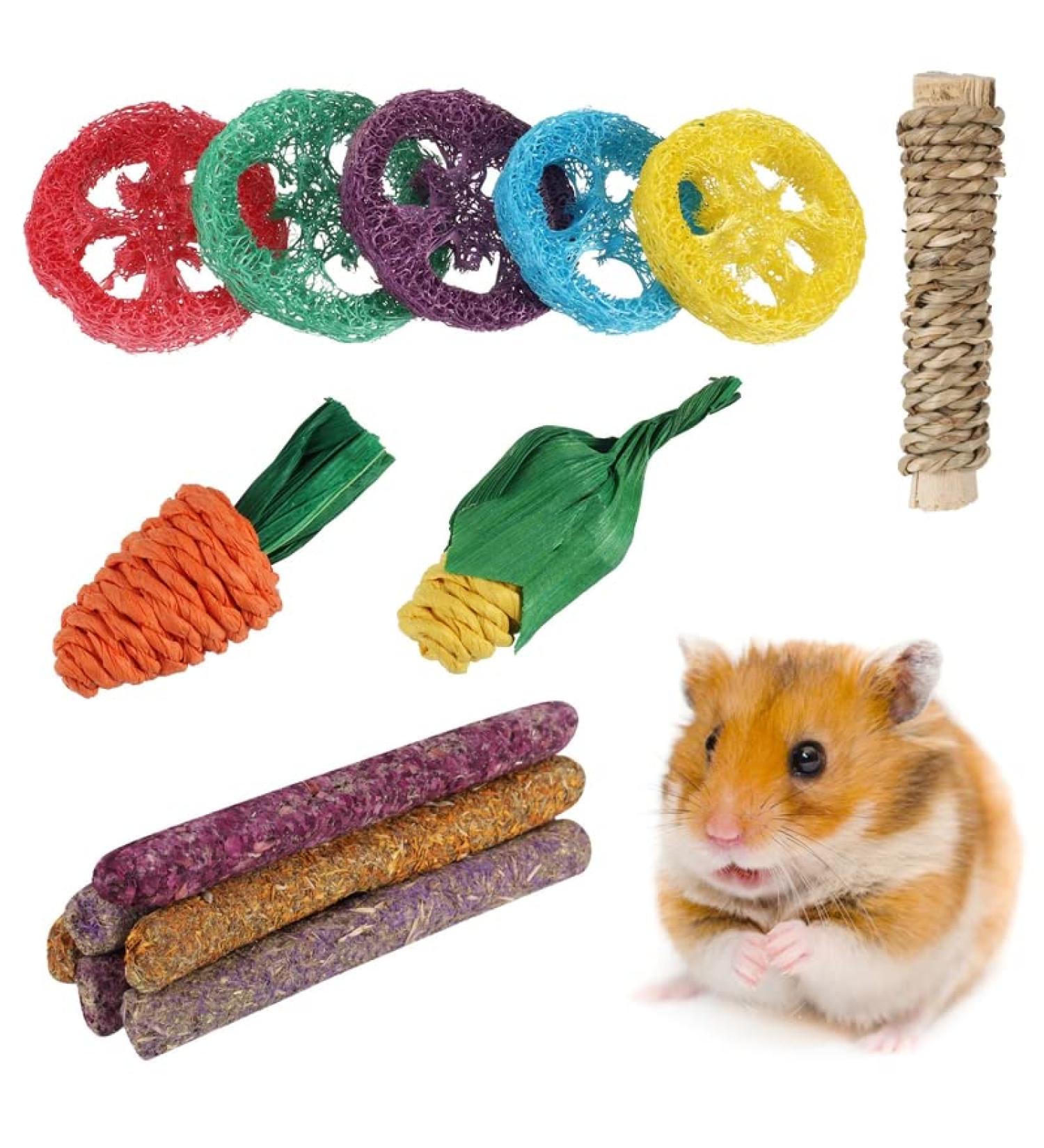 Fanshiontide 14 In 1 Bunny Chew Toys for Teeth Rabbit Chew Toys Timothy Hay Sticks Rabbit Toys Boredom Breaker Loofah Wood Grass Carrots Corn Chew Toys for Rabbit Guinea Pig Hamster Chinchilla - Buy Online on SooperMarket.com